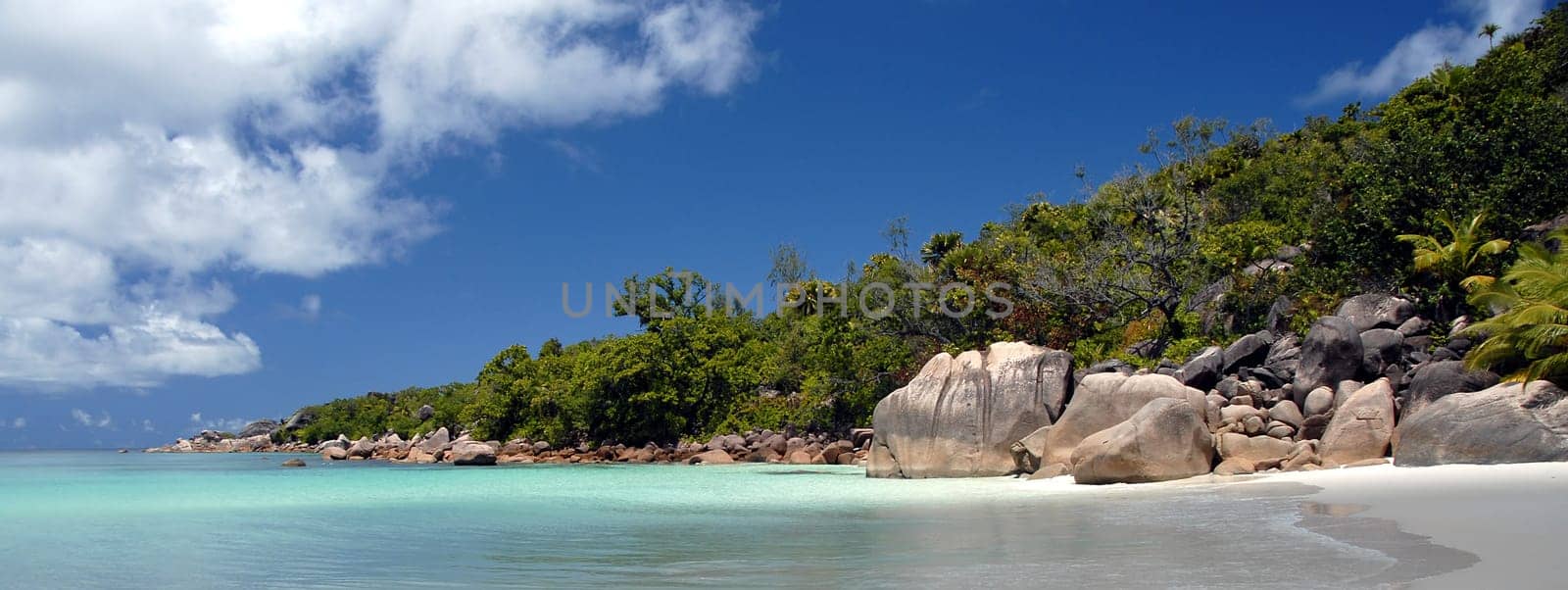 The weather here is so terribly depressed today,I had to post such a picture to cheer me up  -)