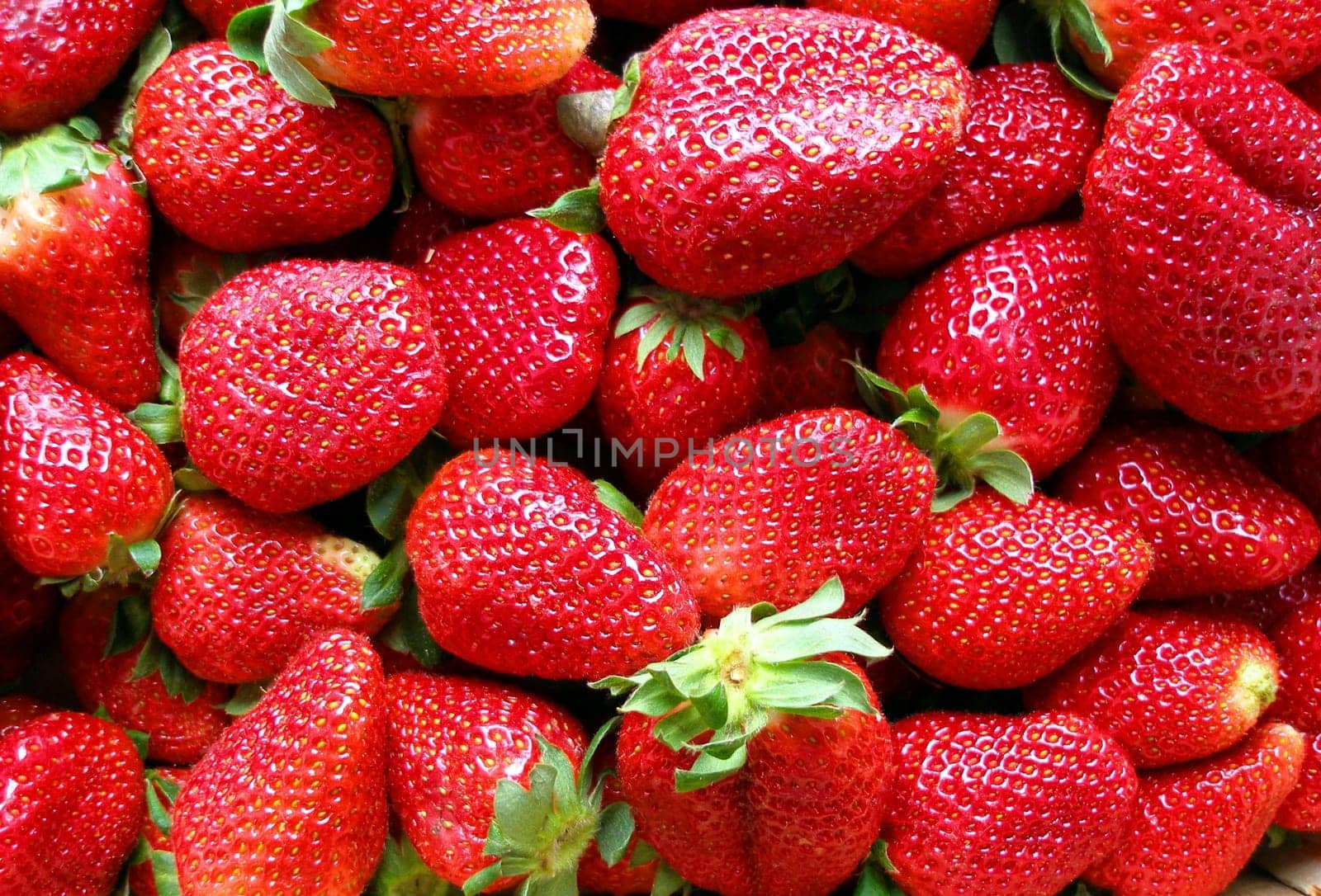 Fresh strawberries from the market