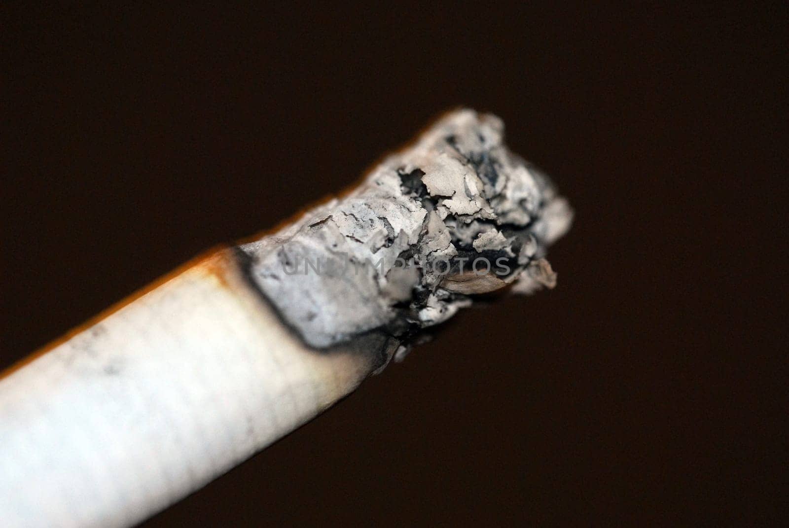 Cigarette