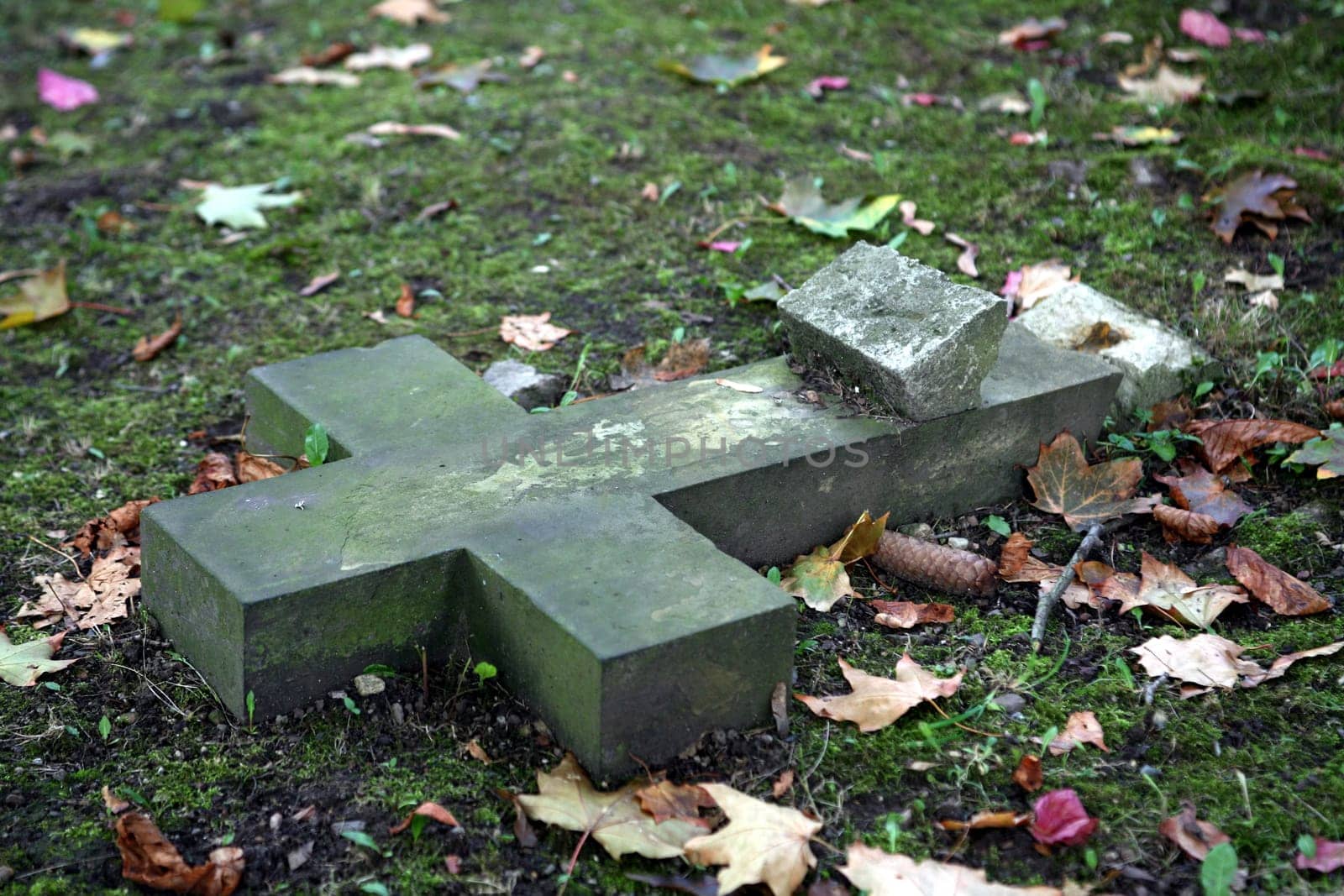 In an old cemetery