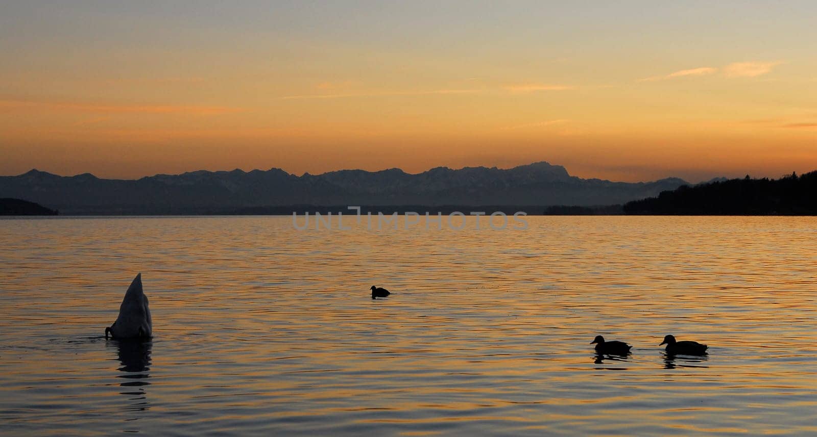 ... on Lake Starnberg...