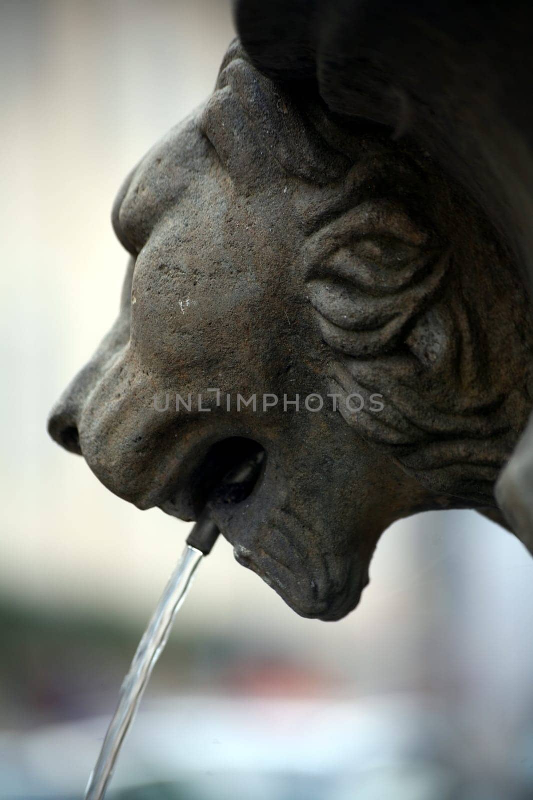 Coat of arms holding lion on a fountain in Weimar (Thuringia)