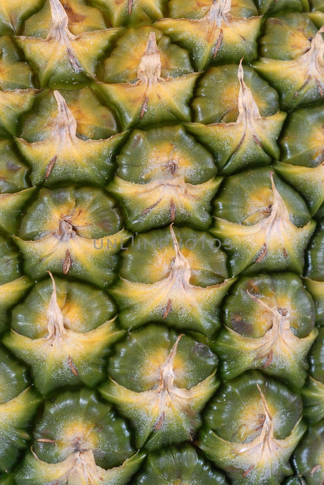 Pineapple