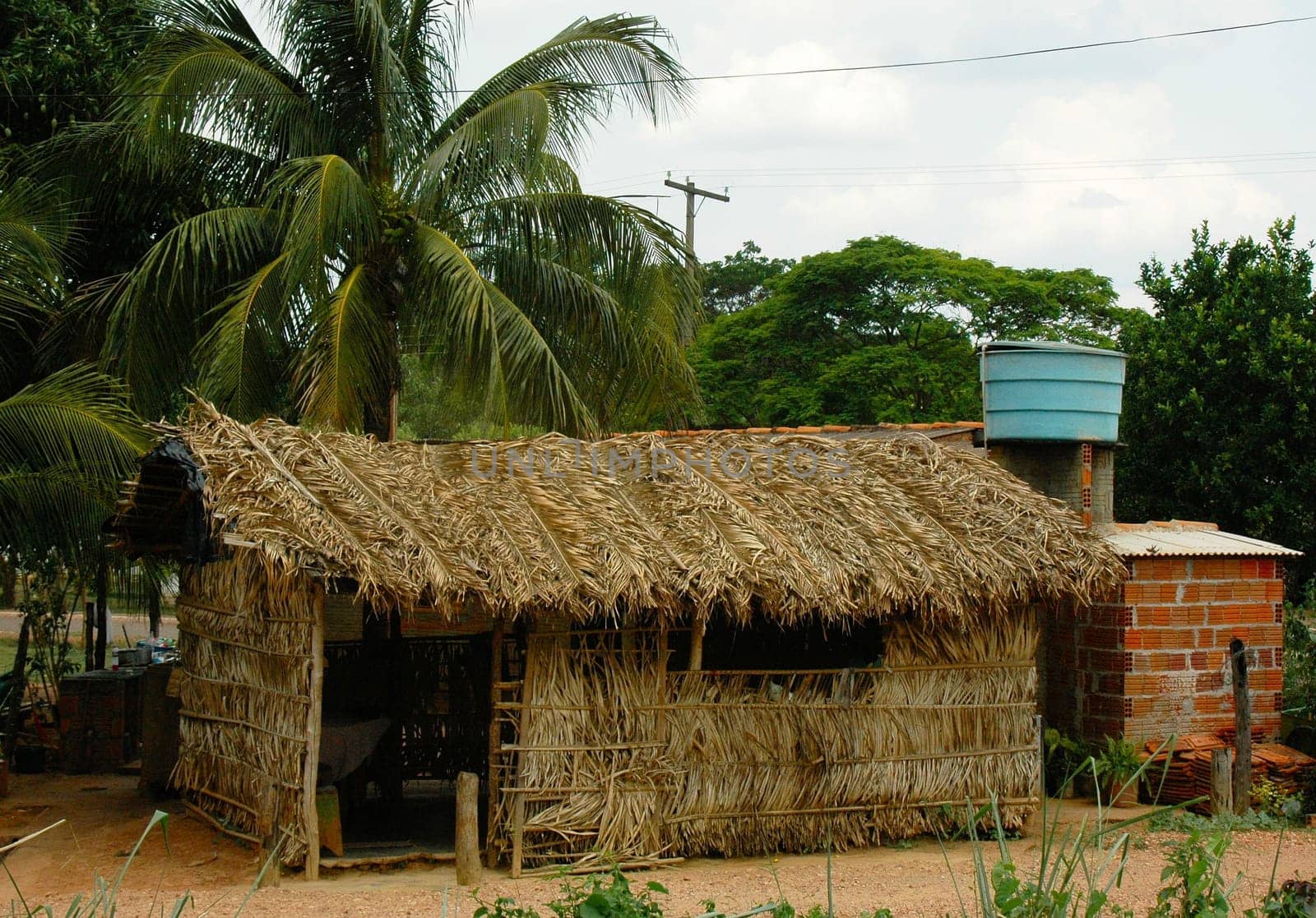 Straw hut