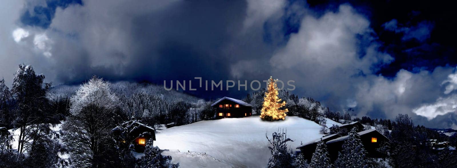 I wish all Panthers and their families a Merry Christmas. For the year 2007 many great pictures and above all health!!
