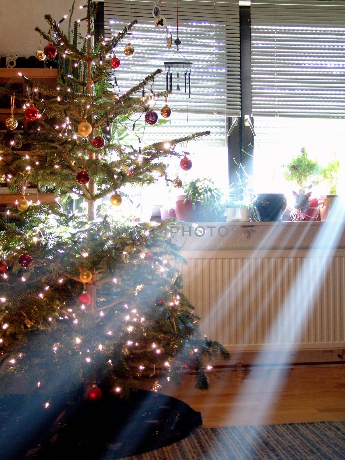 Christmas tree