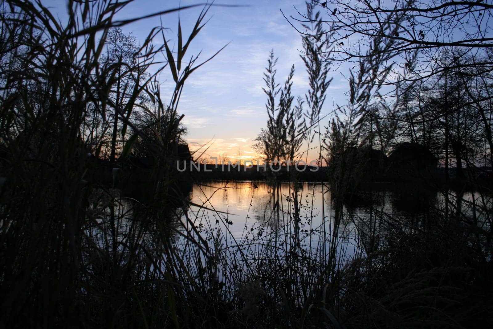 Aperture 9.0 Exposure 1/200 ISO 200 18.0mm Taken 10 days ago at a small pond in Saxony around 4pm