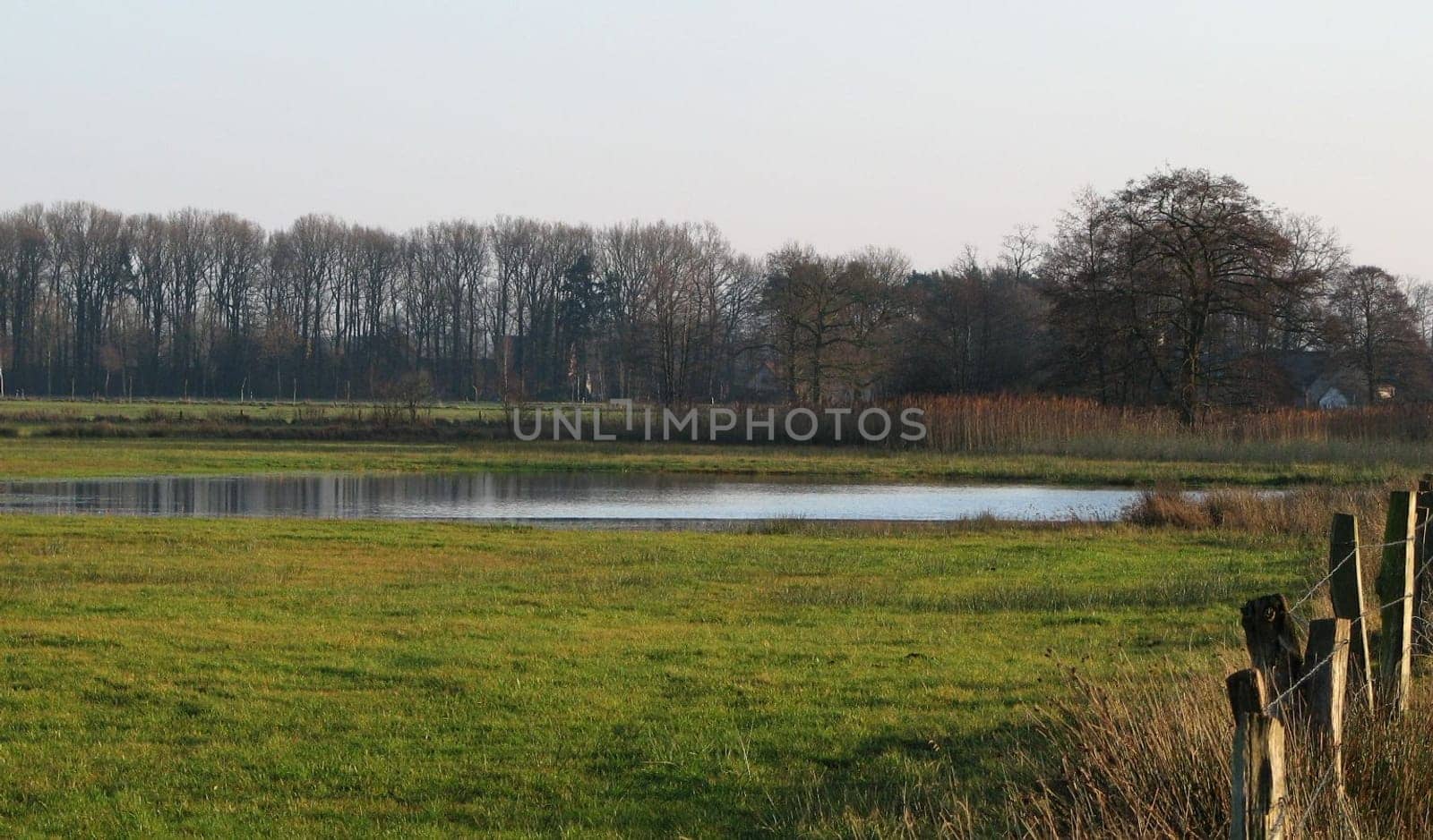 A biotope (from Greek bios = life + topos = place) is a spatially definable small unit of an ecosystem,whereby its abiotic factors (non-animate components) significantly shape a habitat. The in one place (Topo