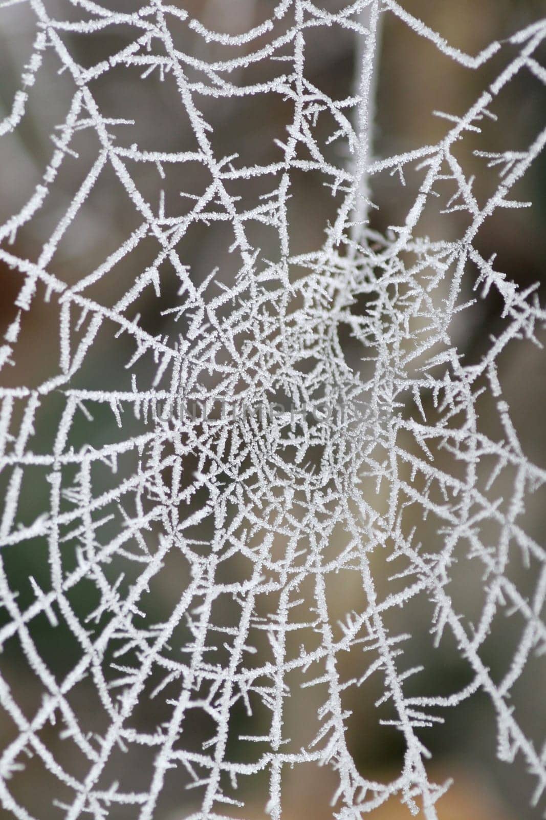 Frozen...