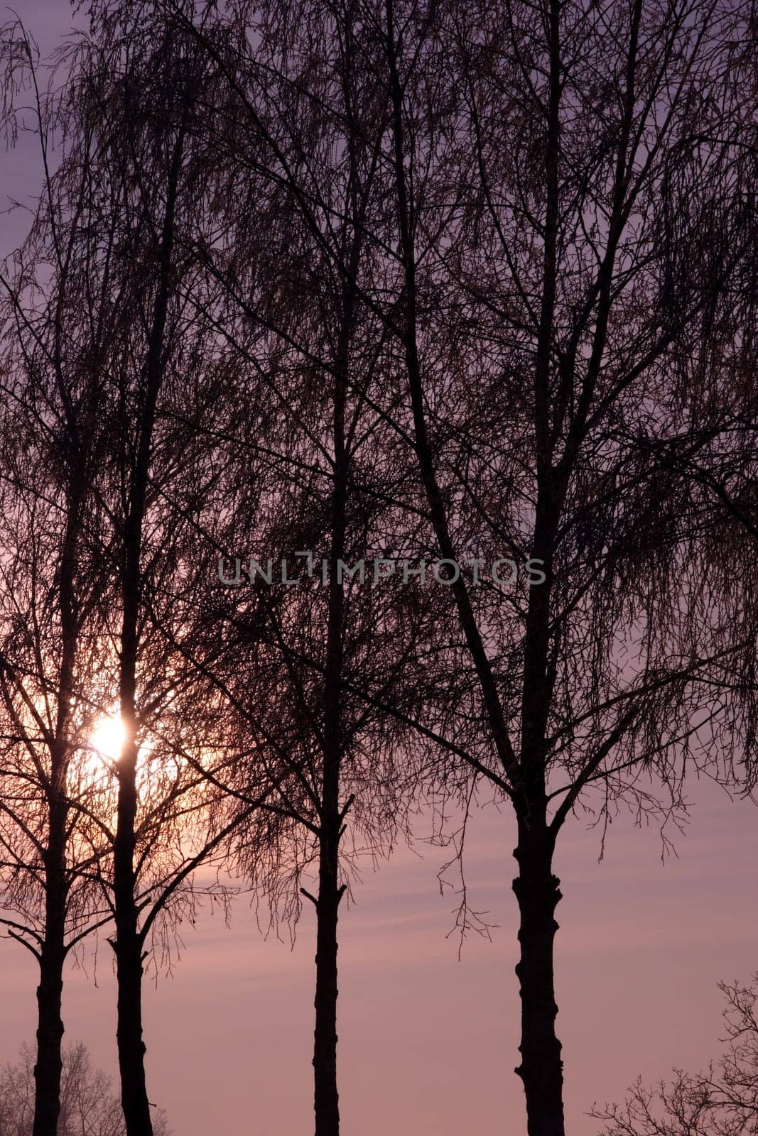 Foggy mood 9