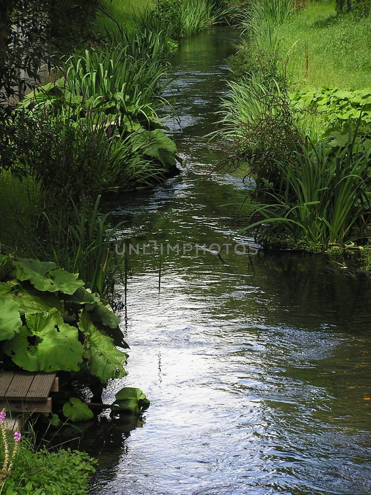 "Streams are perennial channels,i.e. small rivers that constantly carry water."""