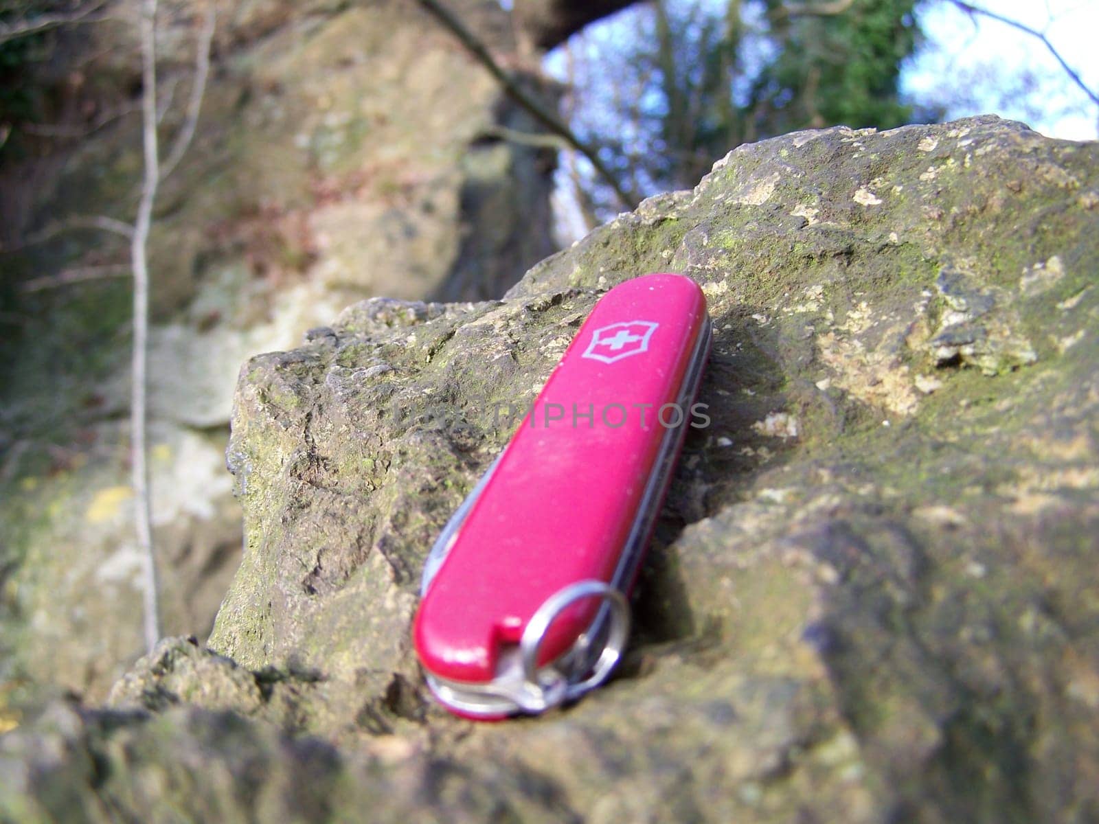 The pocket knife