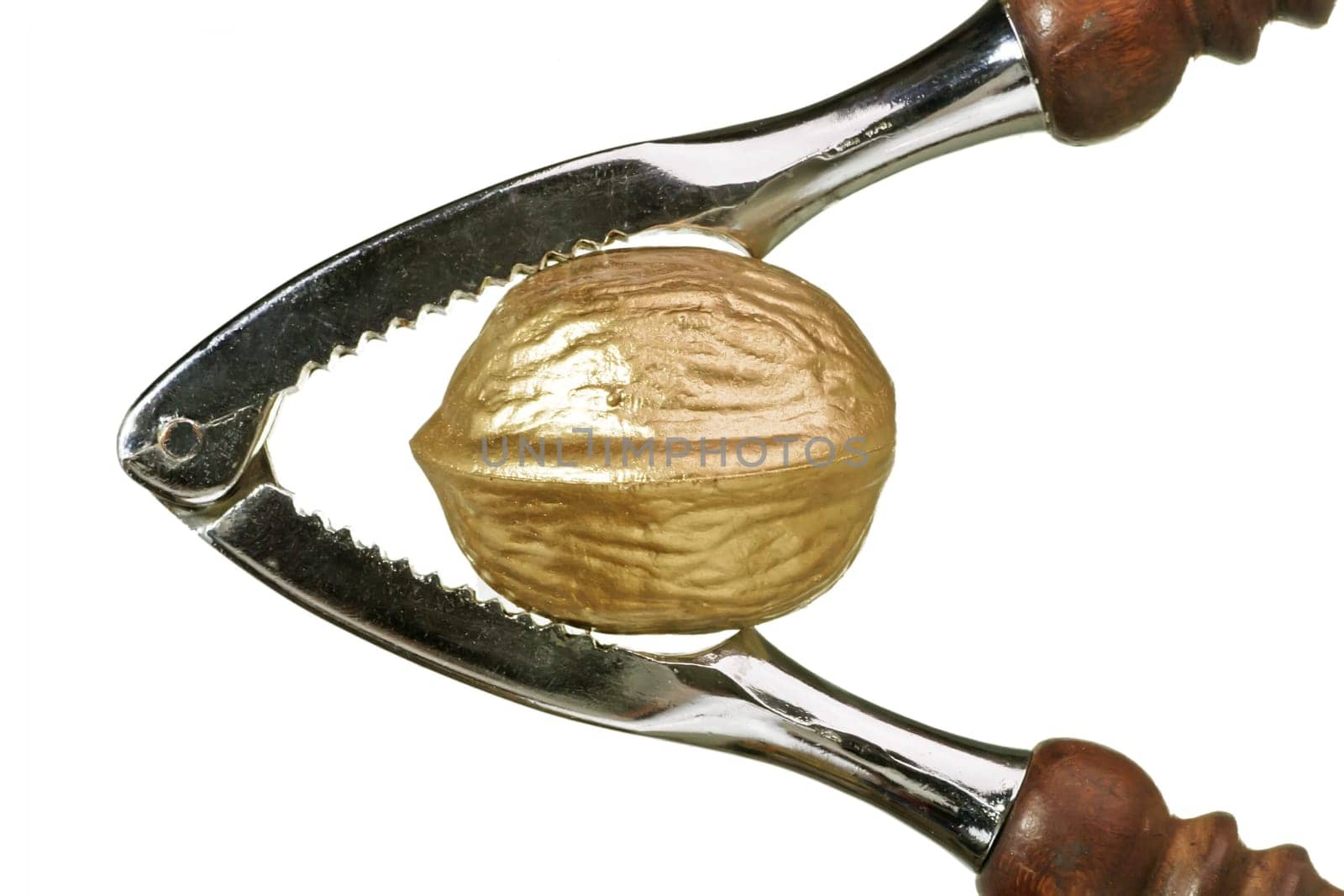 Golden Nut
