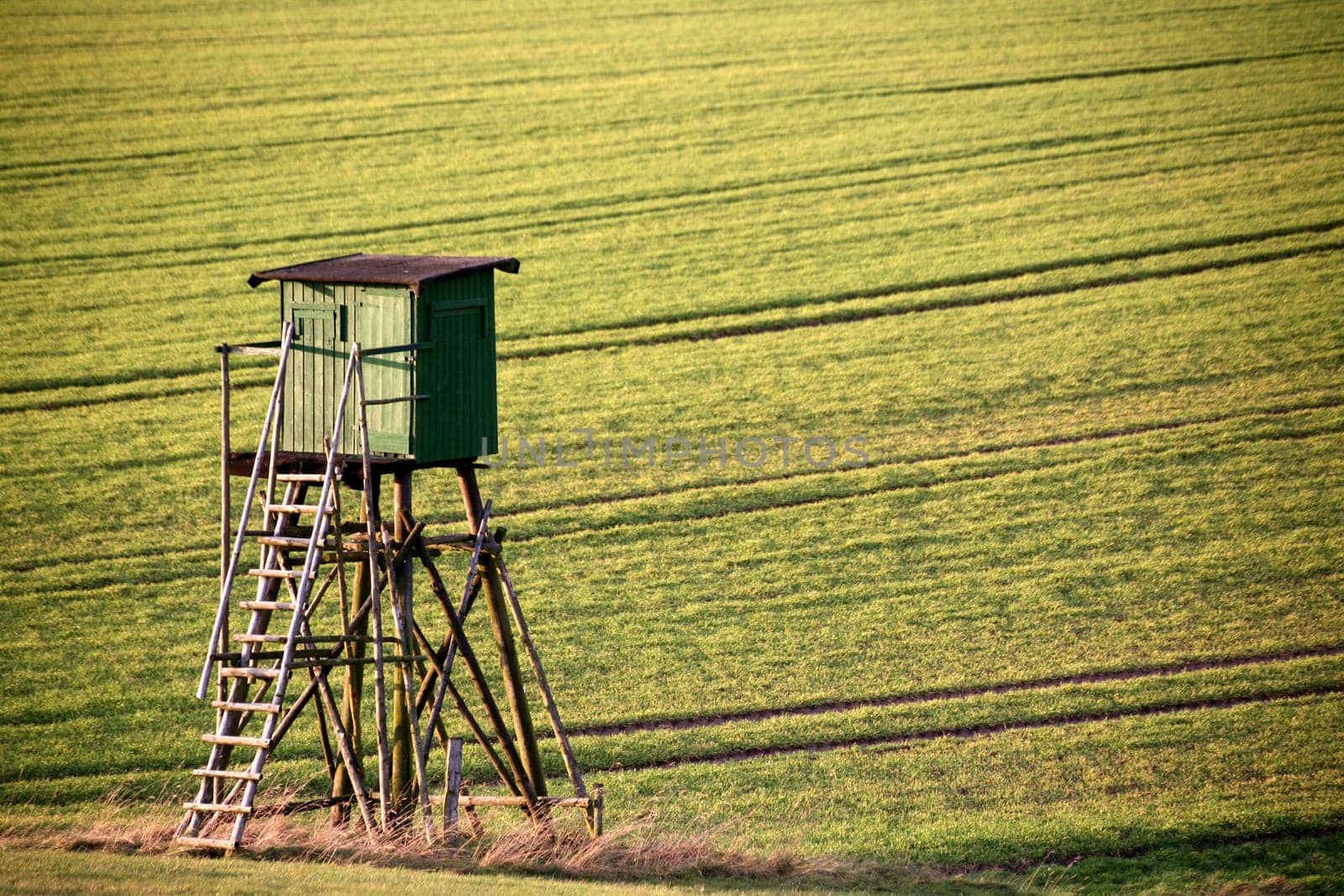 Hunter's hide in a field