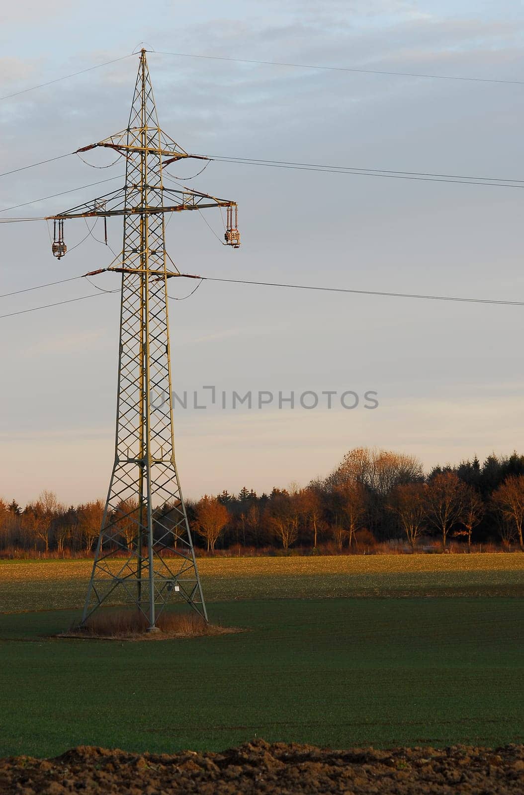 Pylon