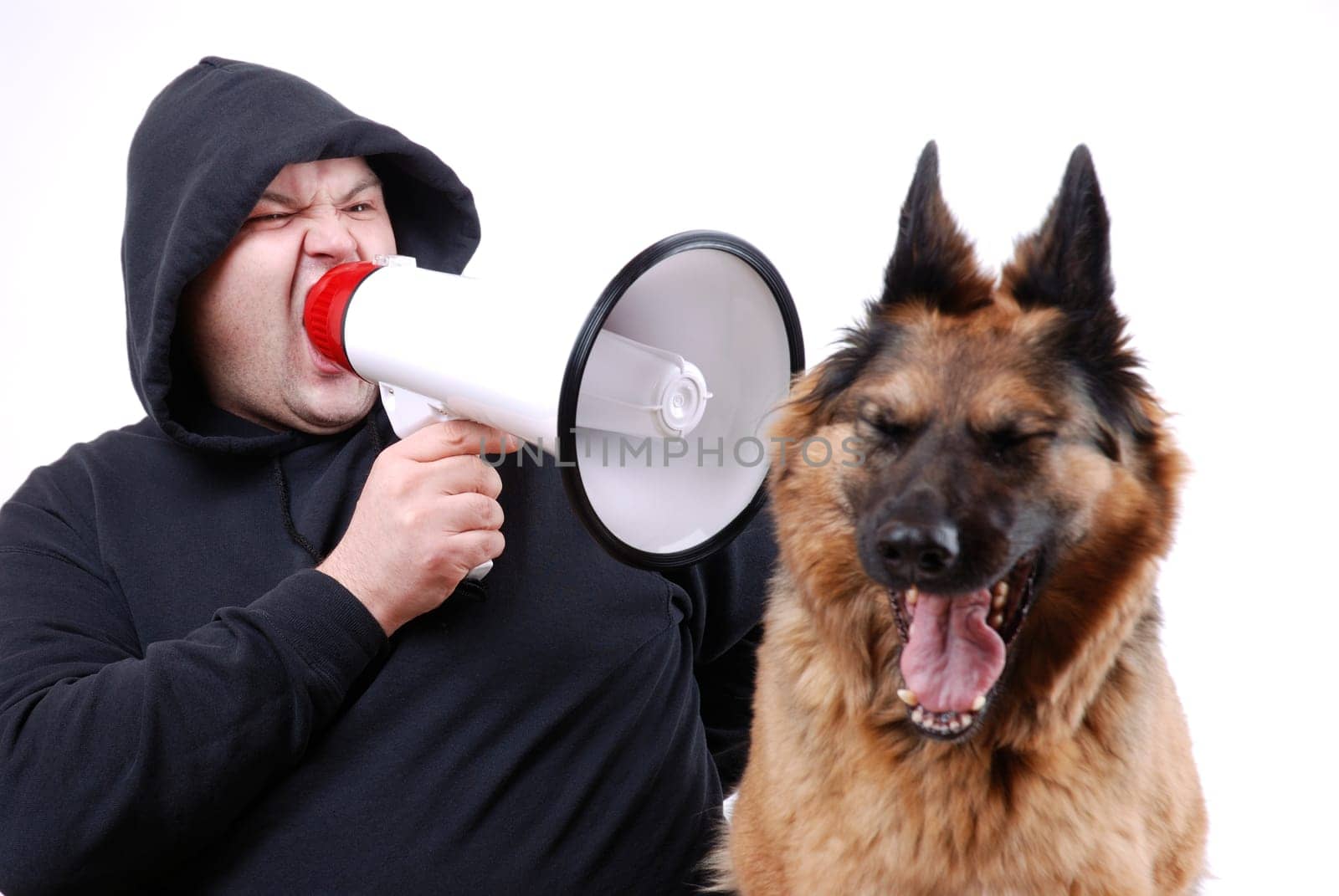 To all animal rights activists: This is a posed picture! Please do not imitate!  The megaphone was off and the dog just yawned!!