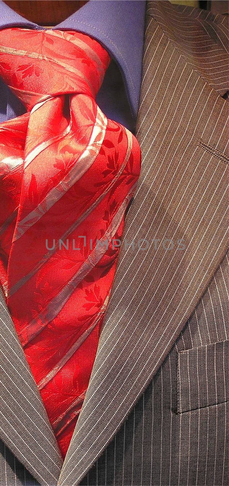 A man is worth as much as his tie. Through it,his essence is revealed,in it his spirit is manifested. The man's spirit is evident in his ability to tie the tie. (Honoré de Balzac)