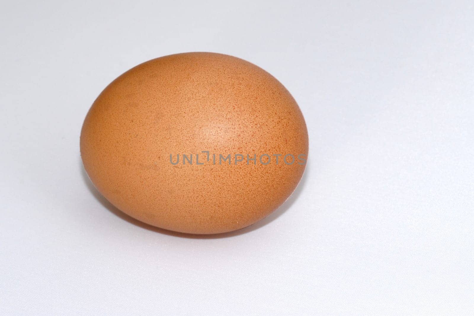 Egg