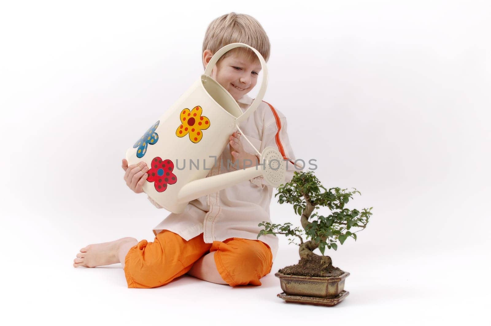 Small sapling