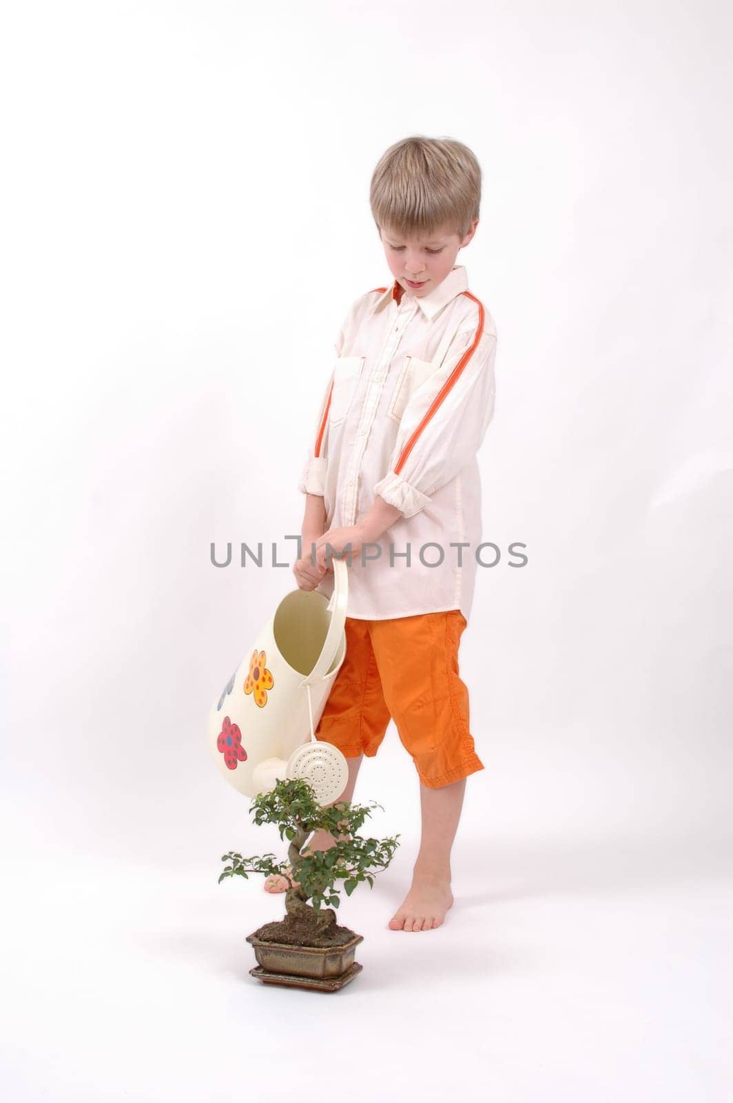 Bonsai Care