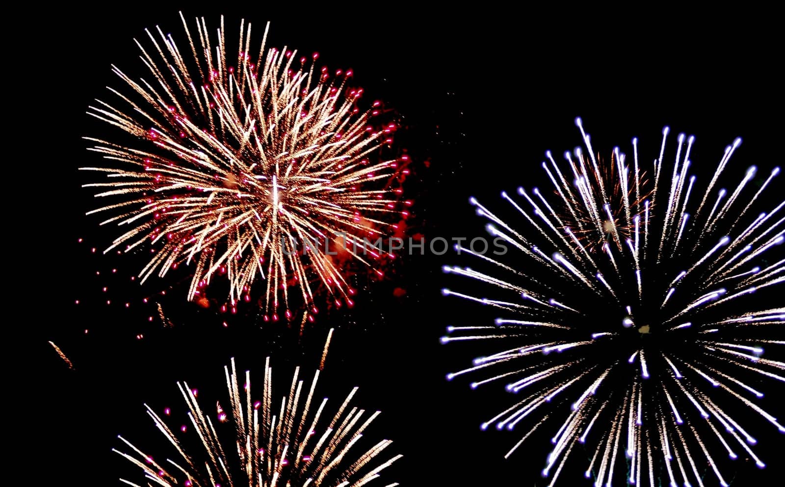 Happy New Year 2007