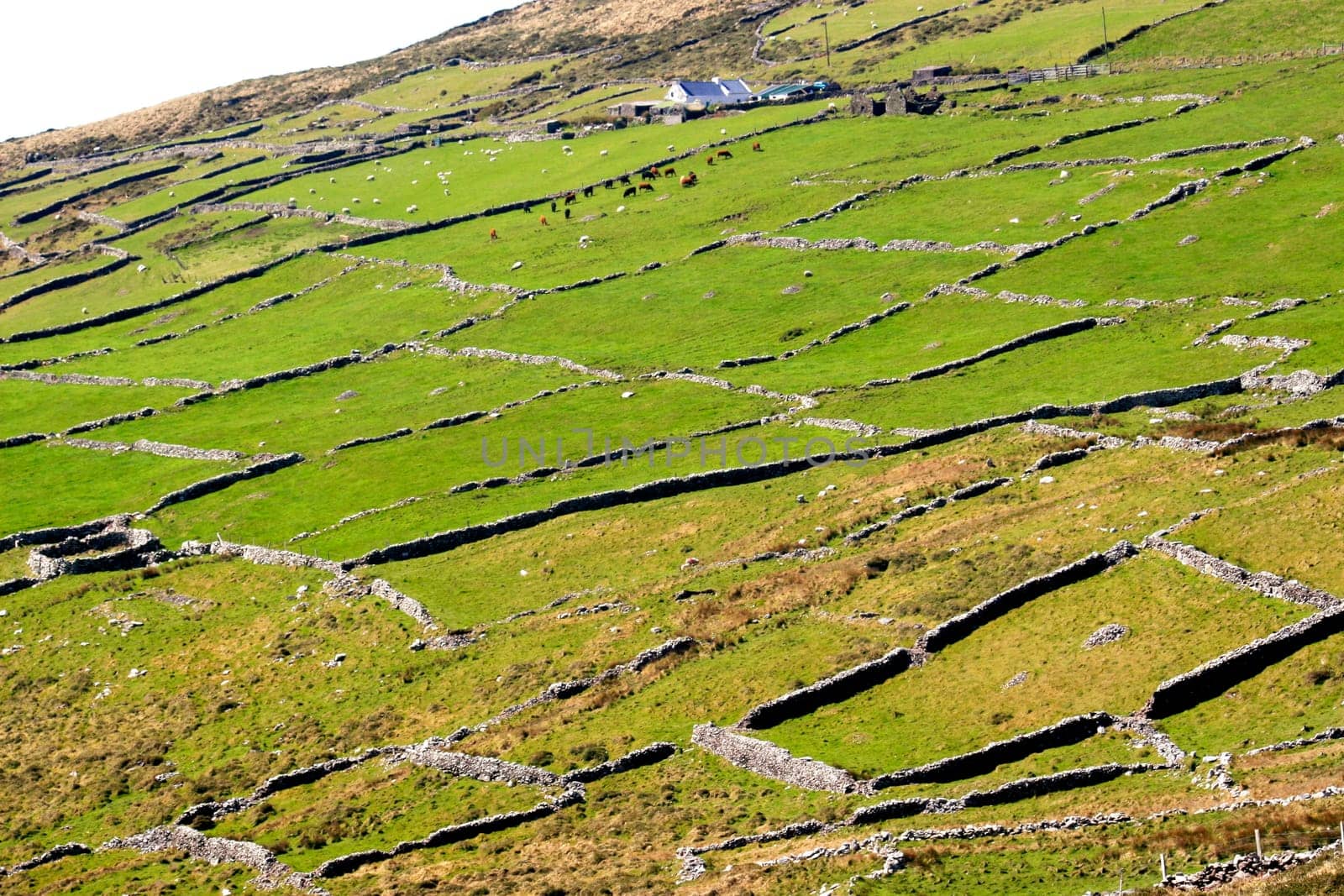 West Irish countryside