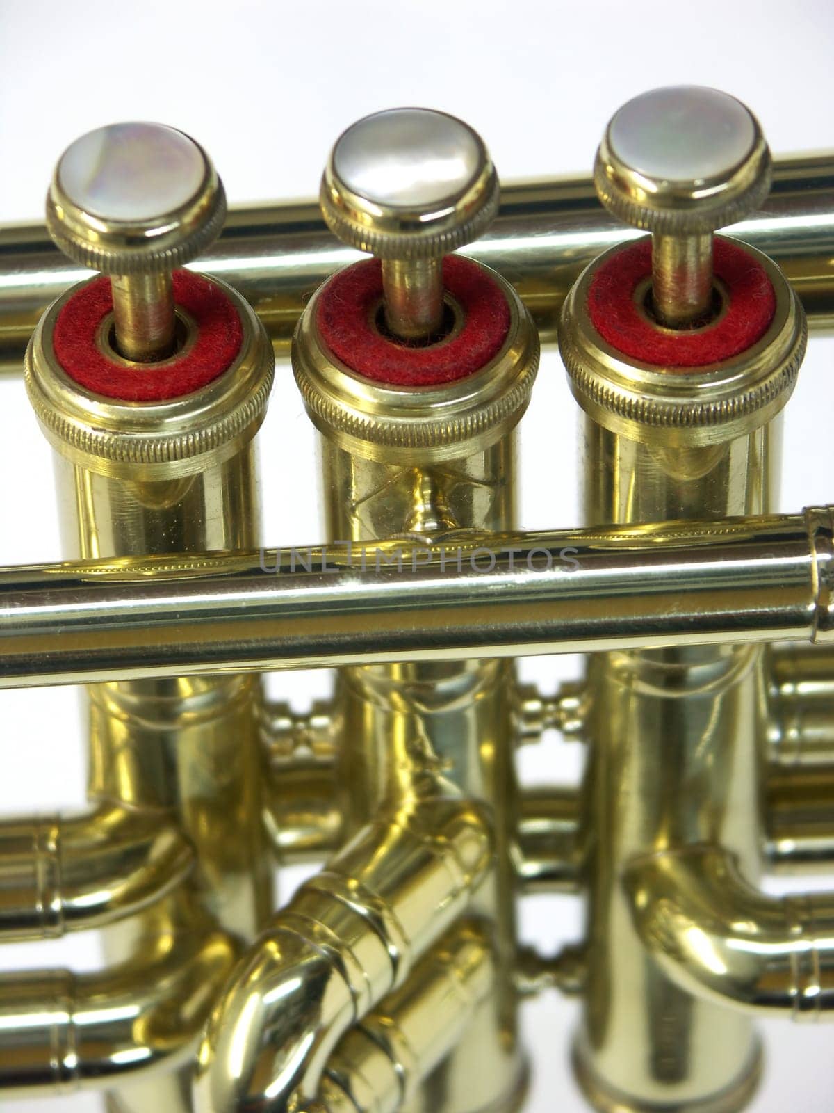 trumpet