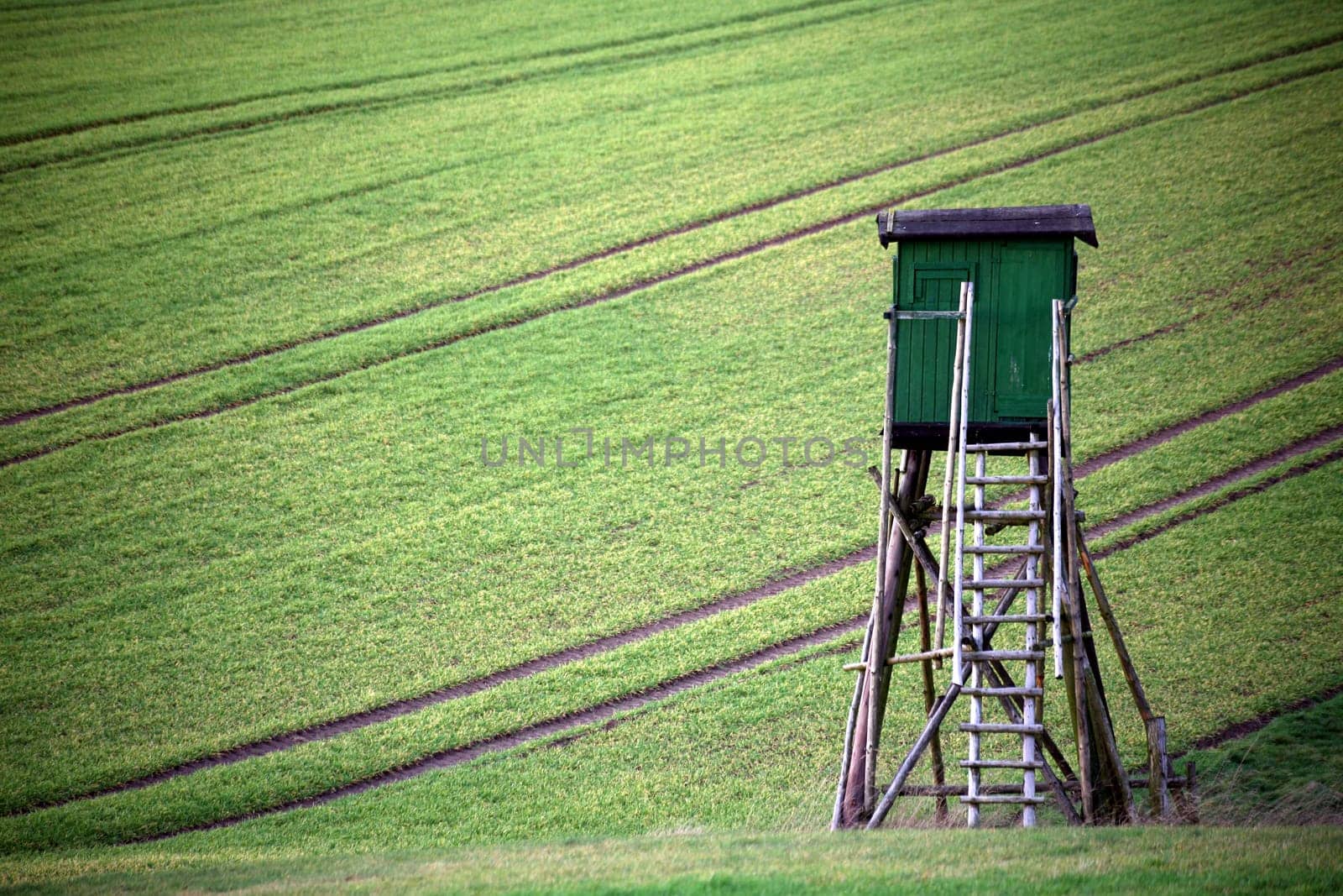 Hunter's hide in a field