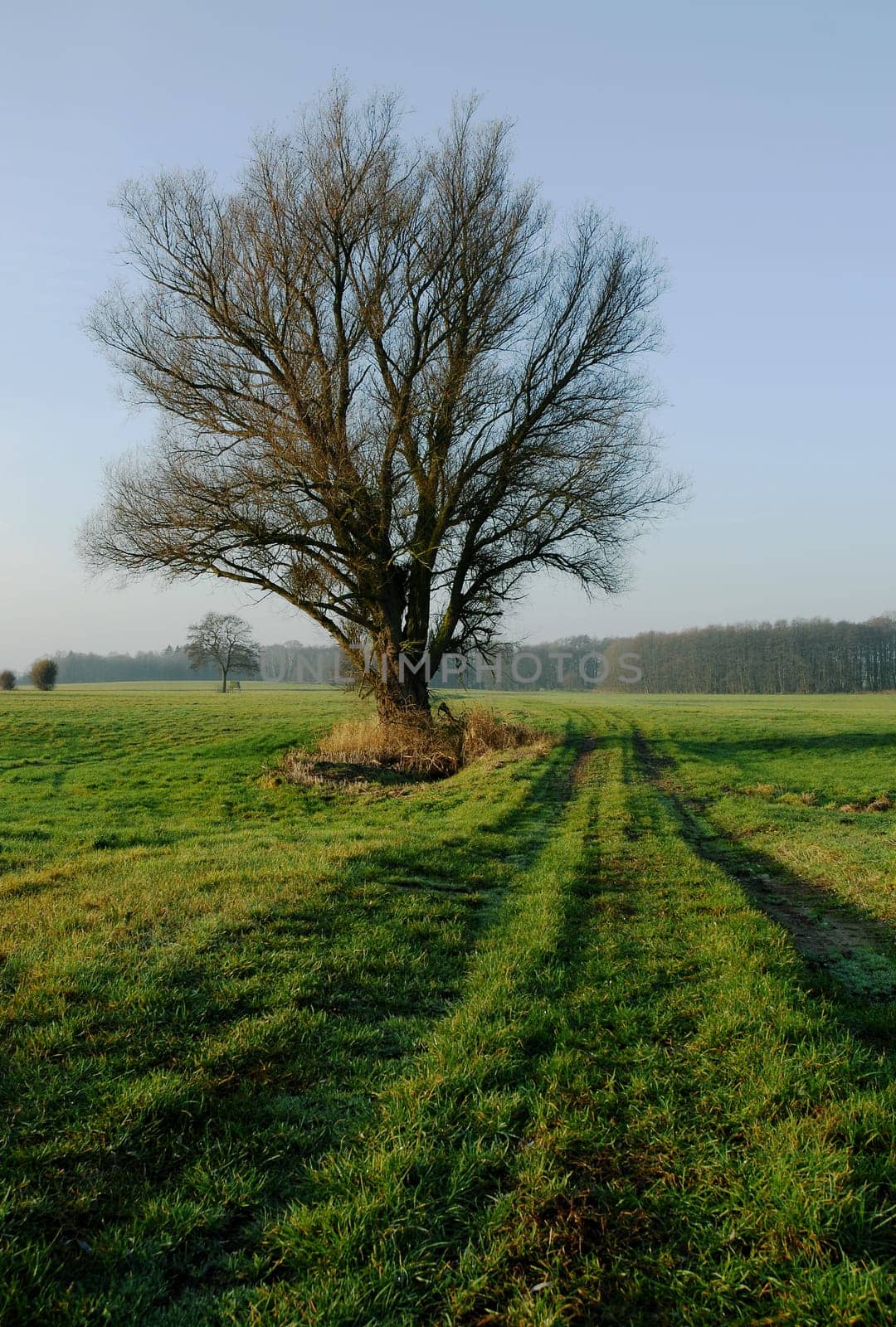 Straight ahead