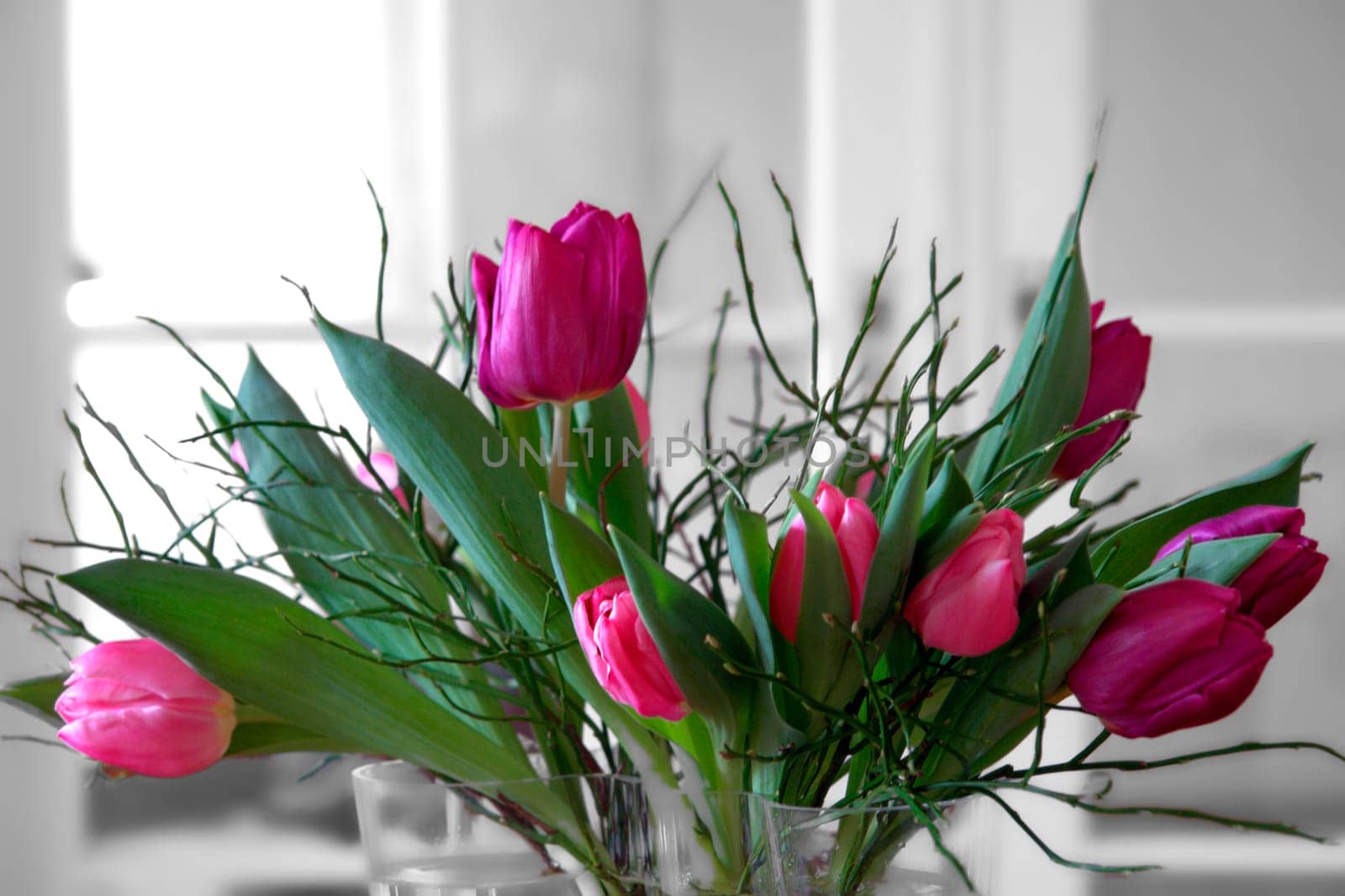 Spring greeting