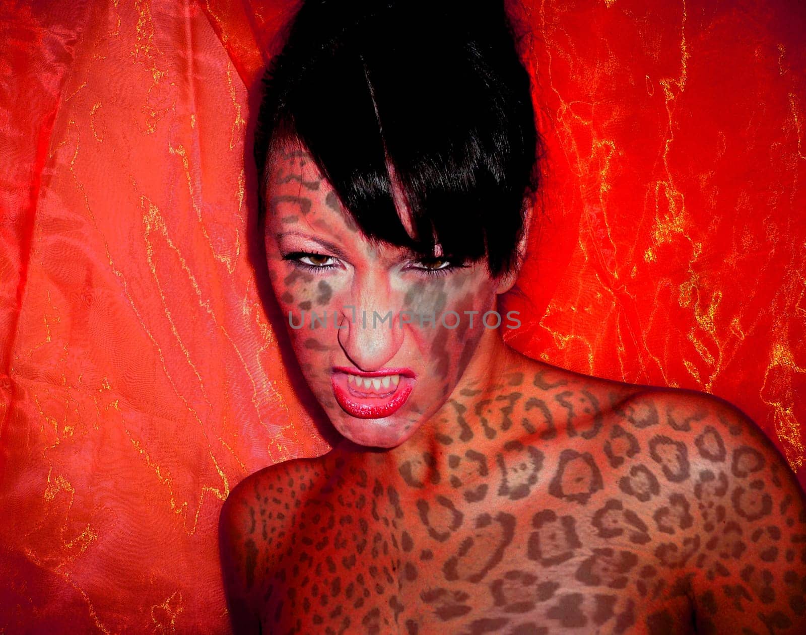 Attention I am Wild
