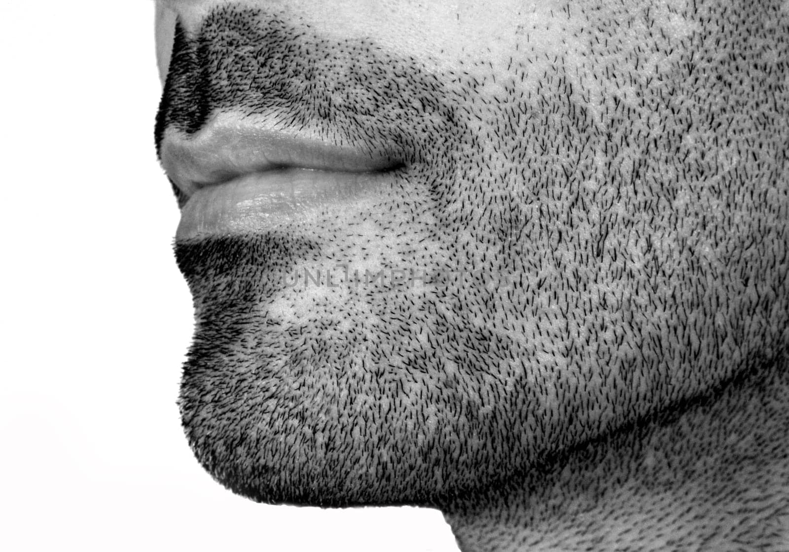 Beard