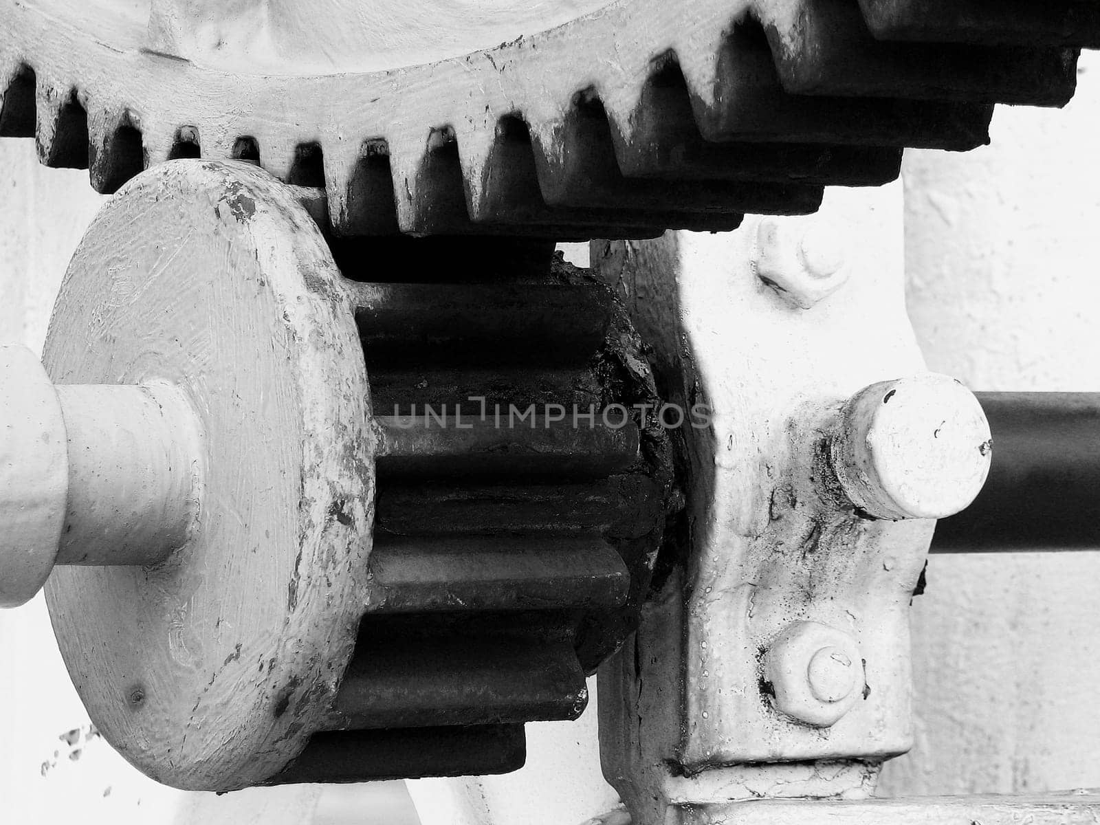 gears teeth or cogwheels
