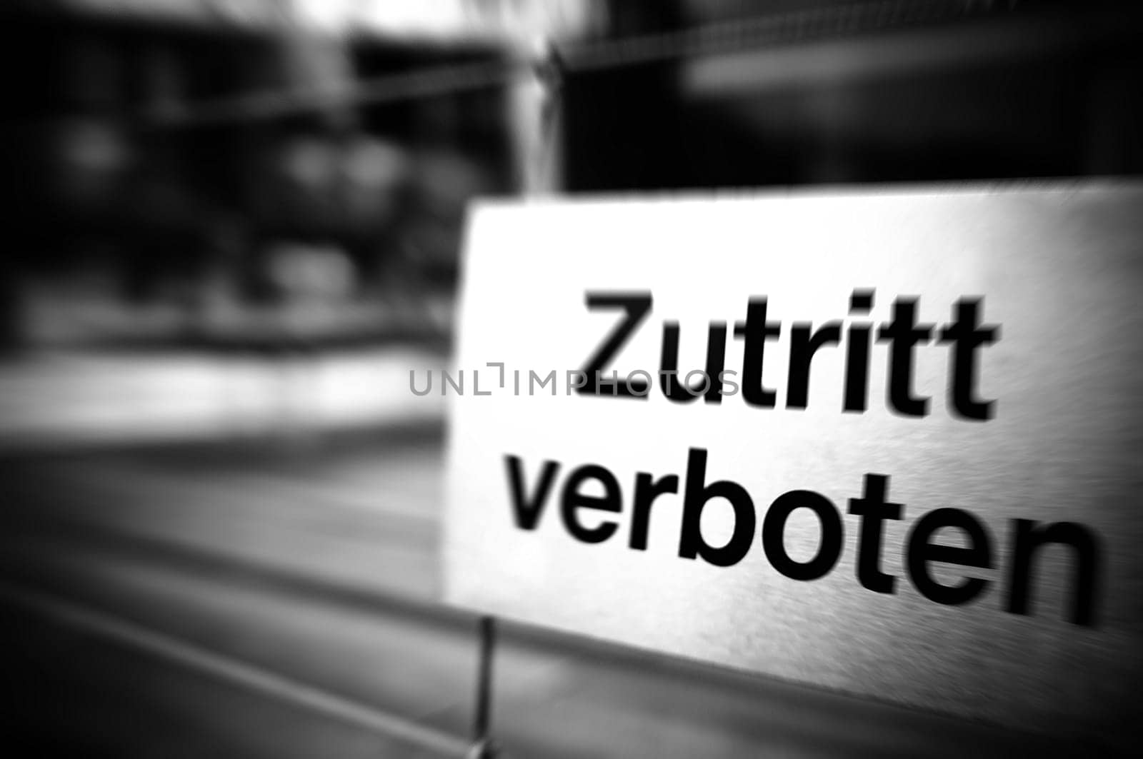 Z V