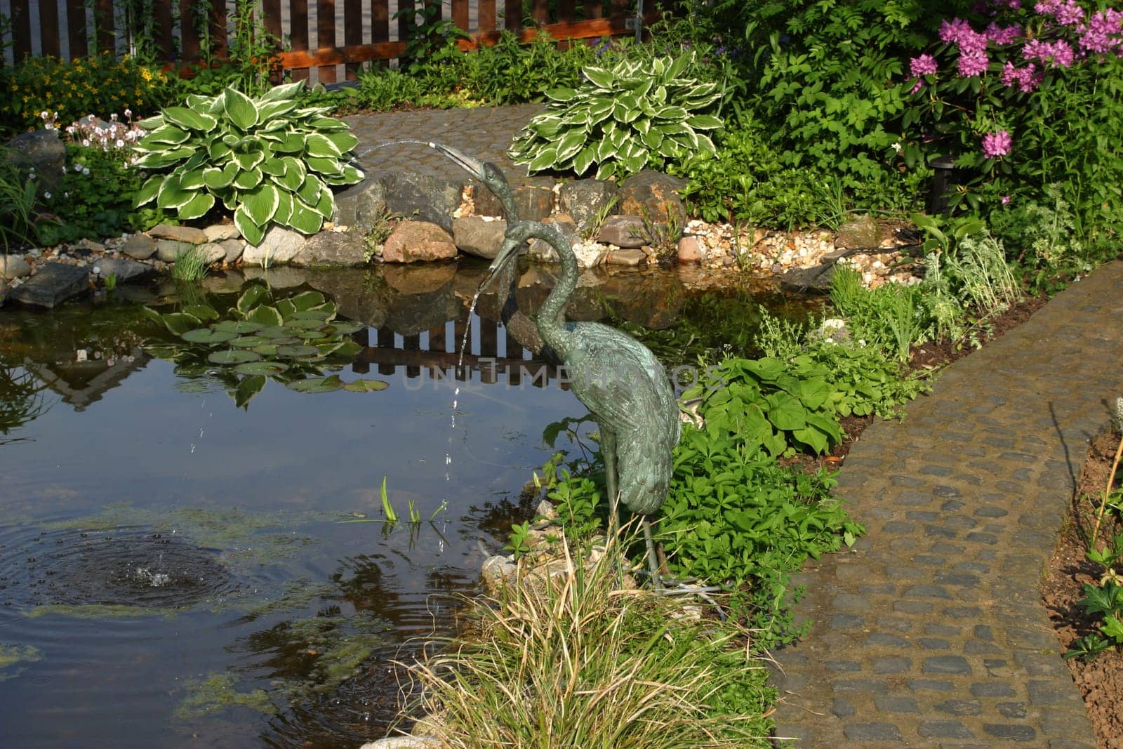 garden pond bordered with plants