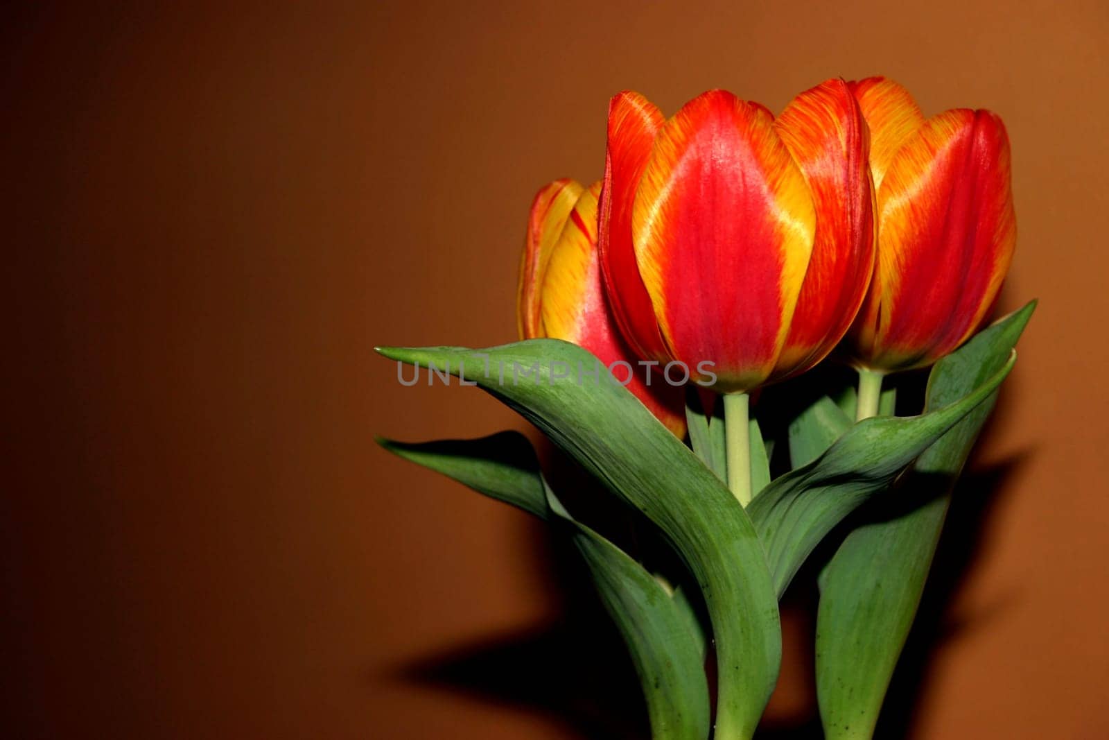 The first signs of spring have arrived....!