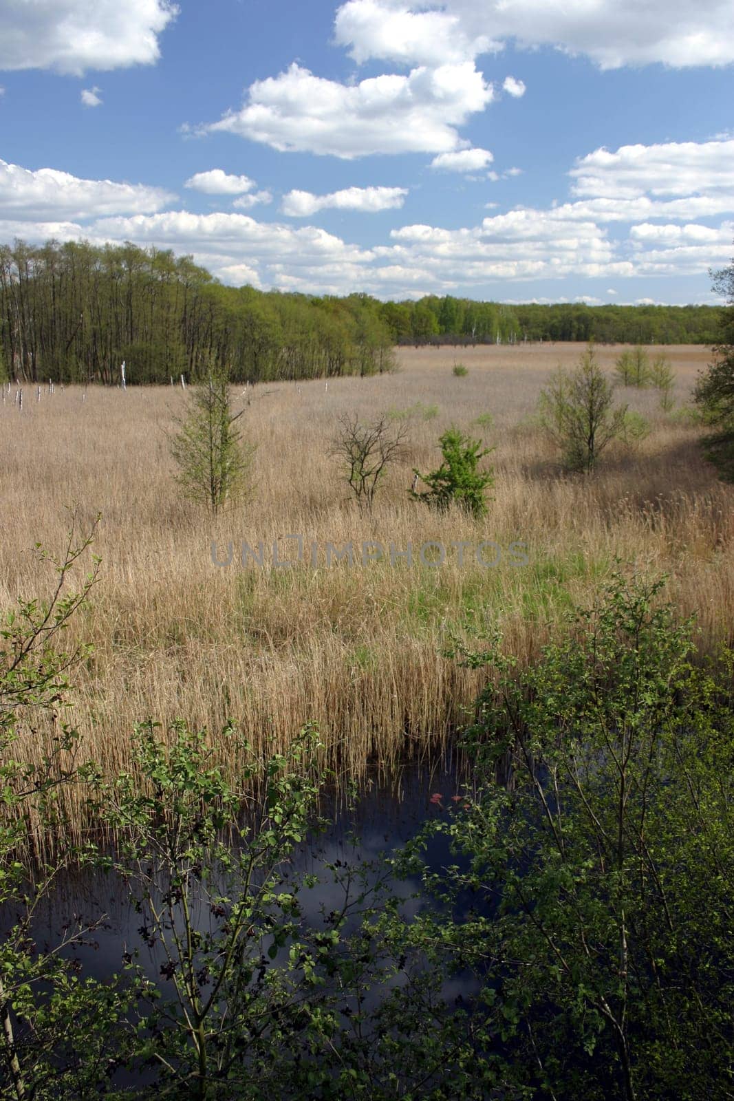 Müritz National Park