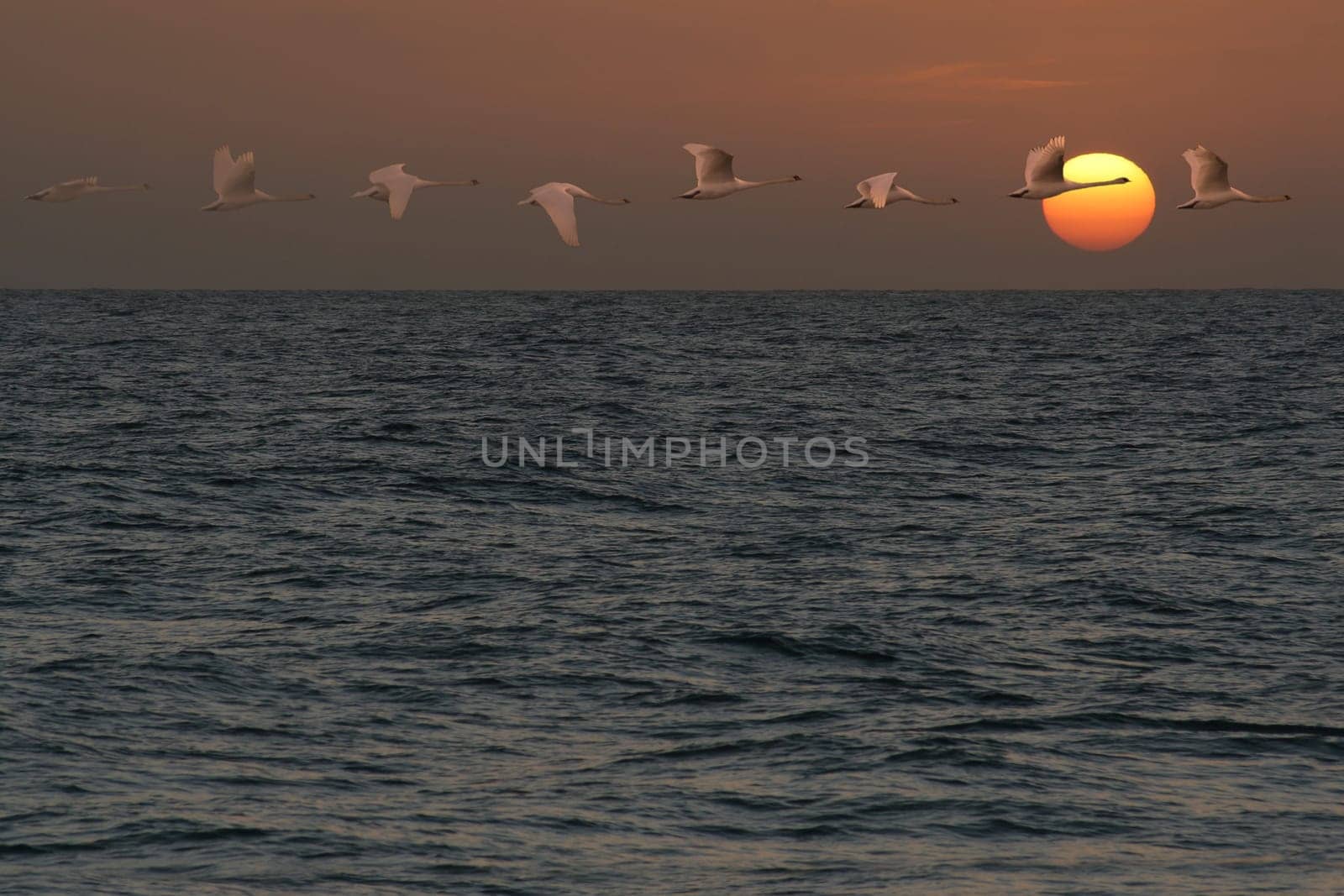 Into the sunset