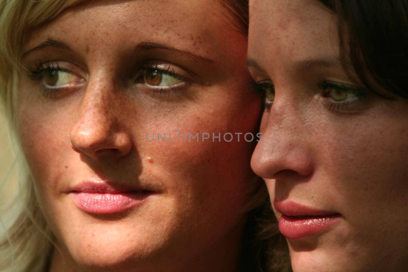 two cheerful young girlfriends