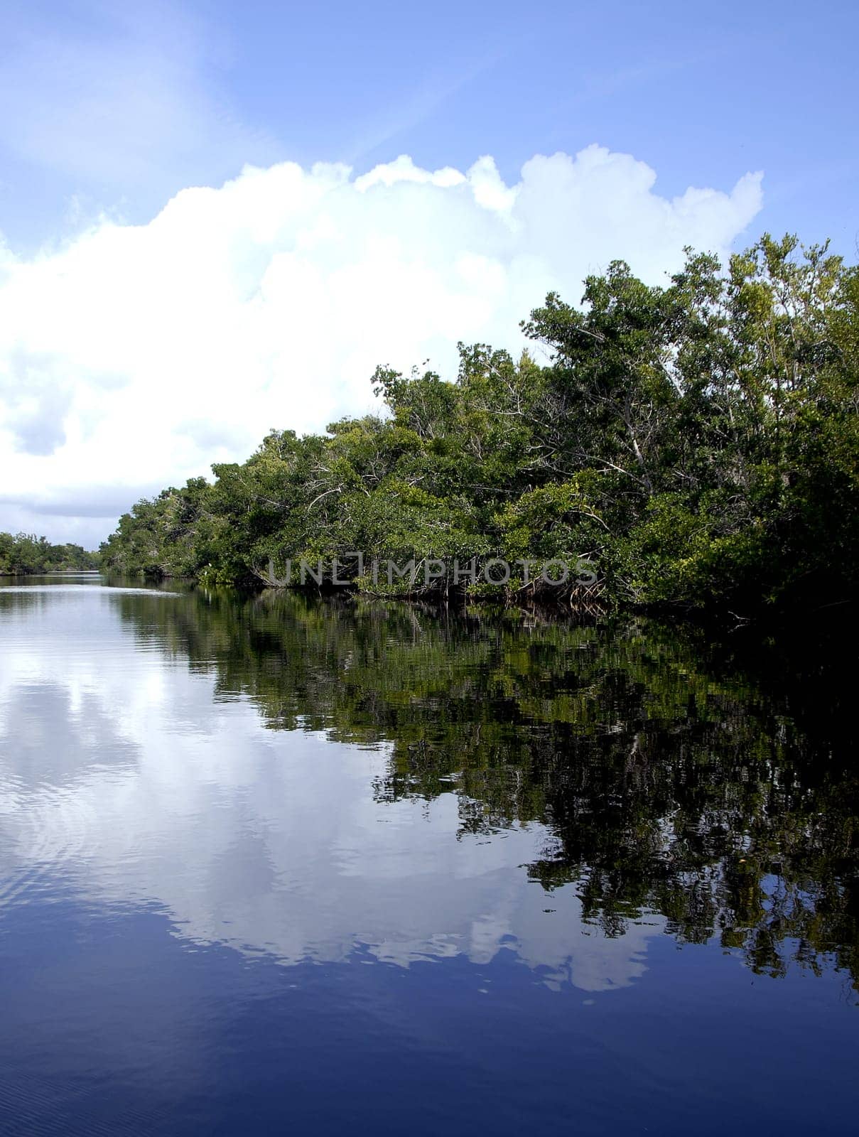 For those seeking peace and quiet,a canoe trip through the rivers and lakes of the Everglades is highly recommended. Although these waters are teeming with crocodiles and alligators,you don't have to reckon with accidents with these animals,as they can be used by humans.
