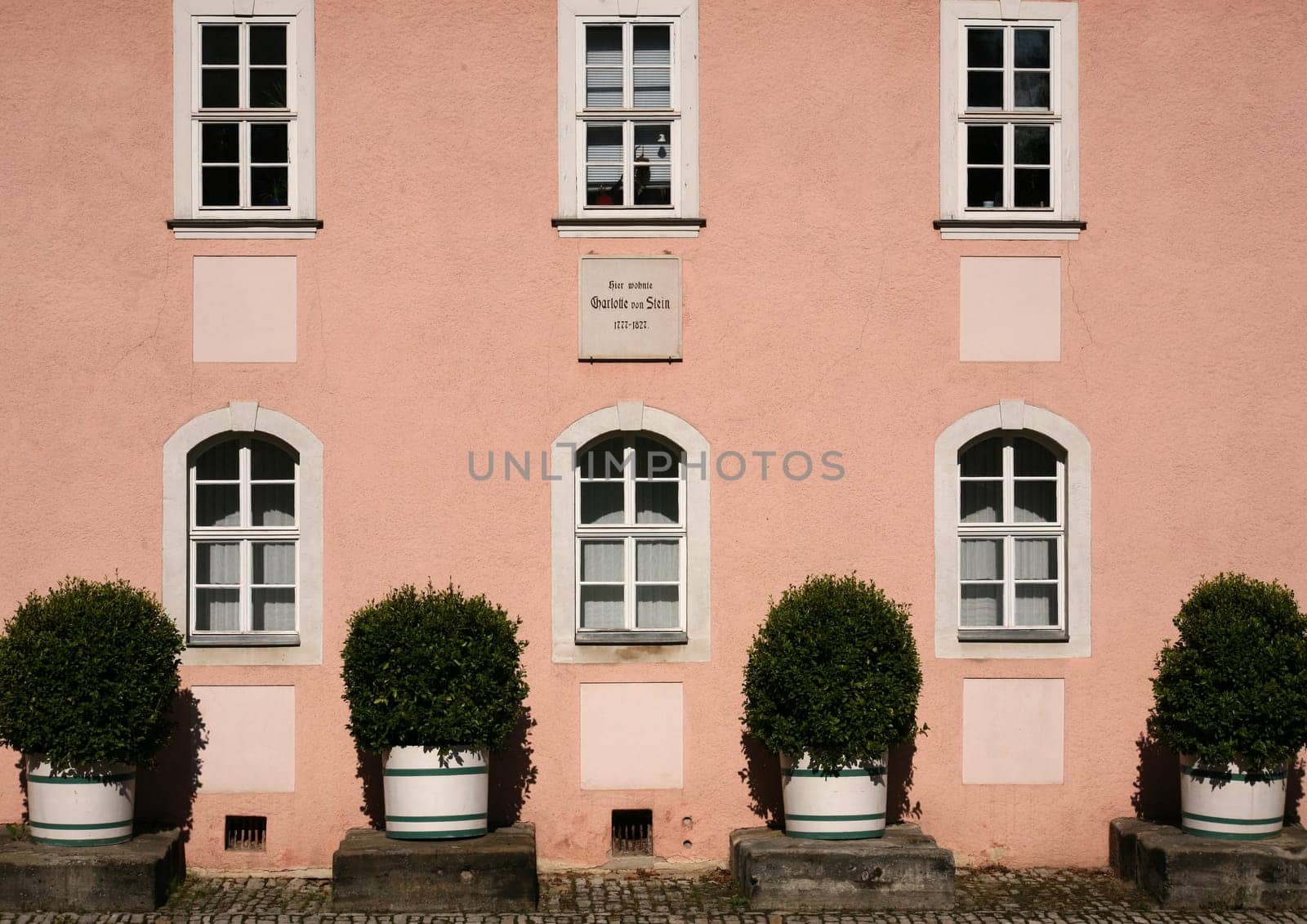 House of Goethe's Friend in Weimar (Thuringia)