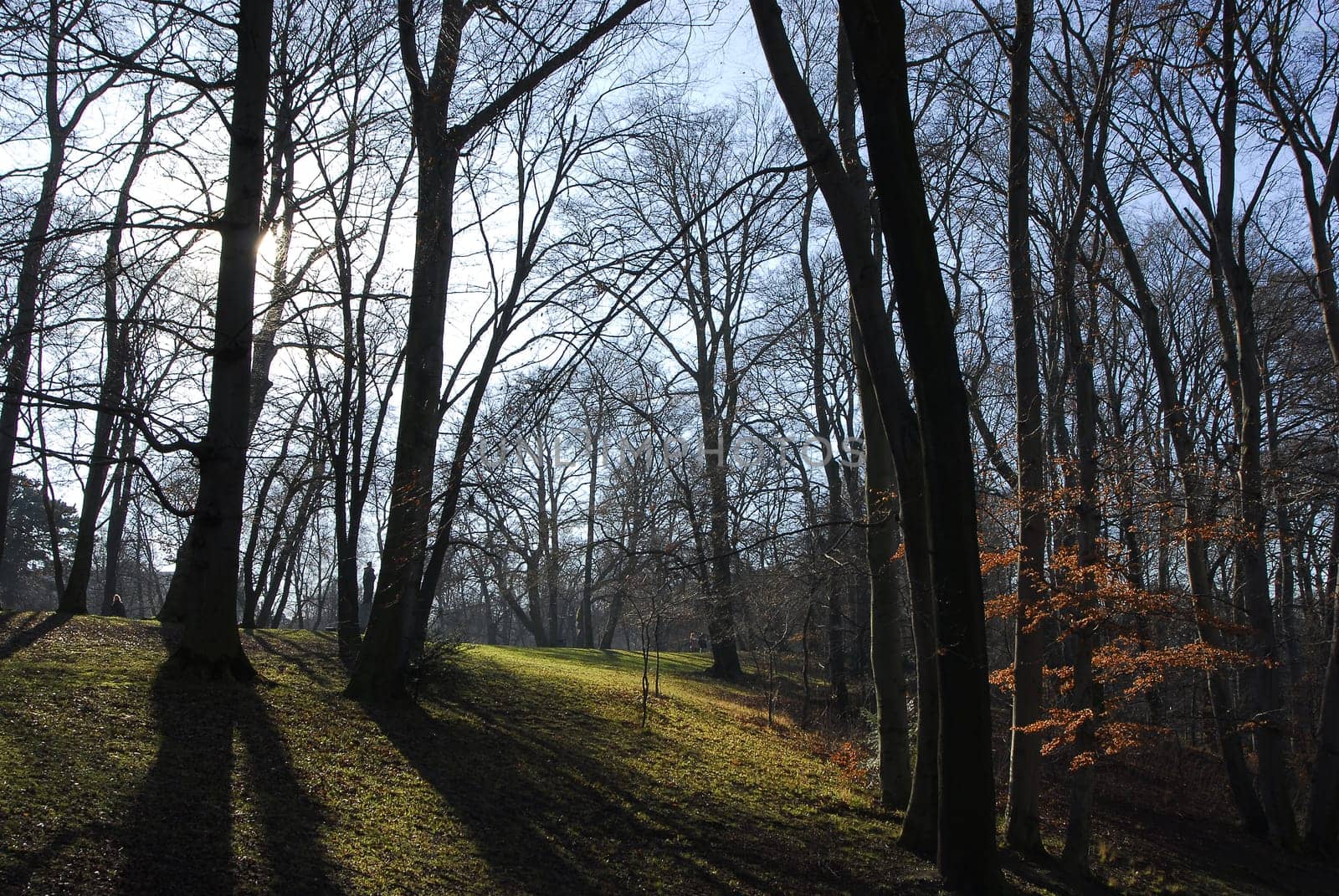 In the park