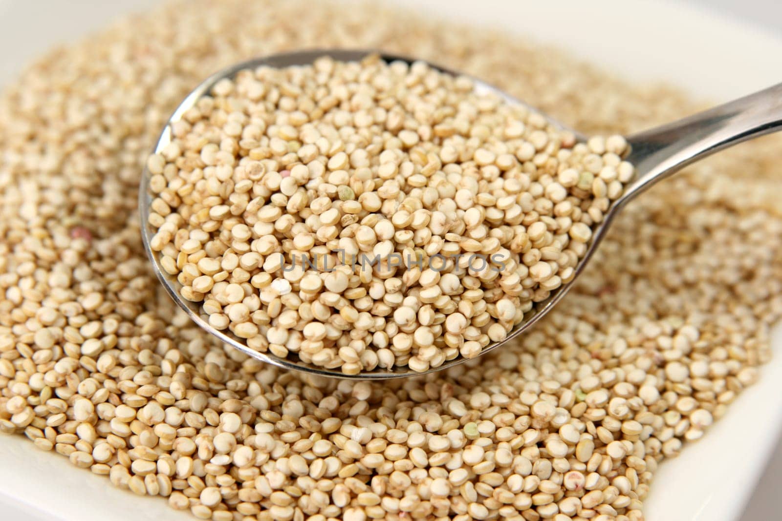 Quinoa