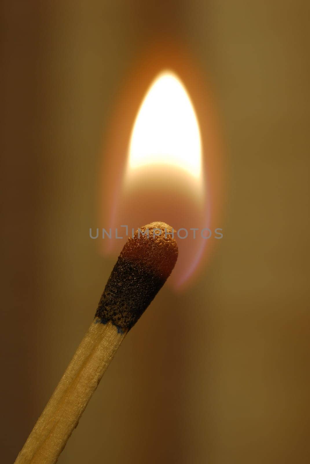 Lit