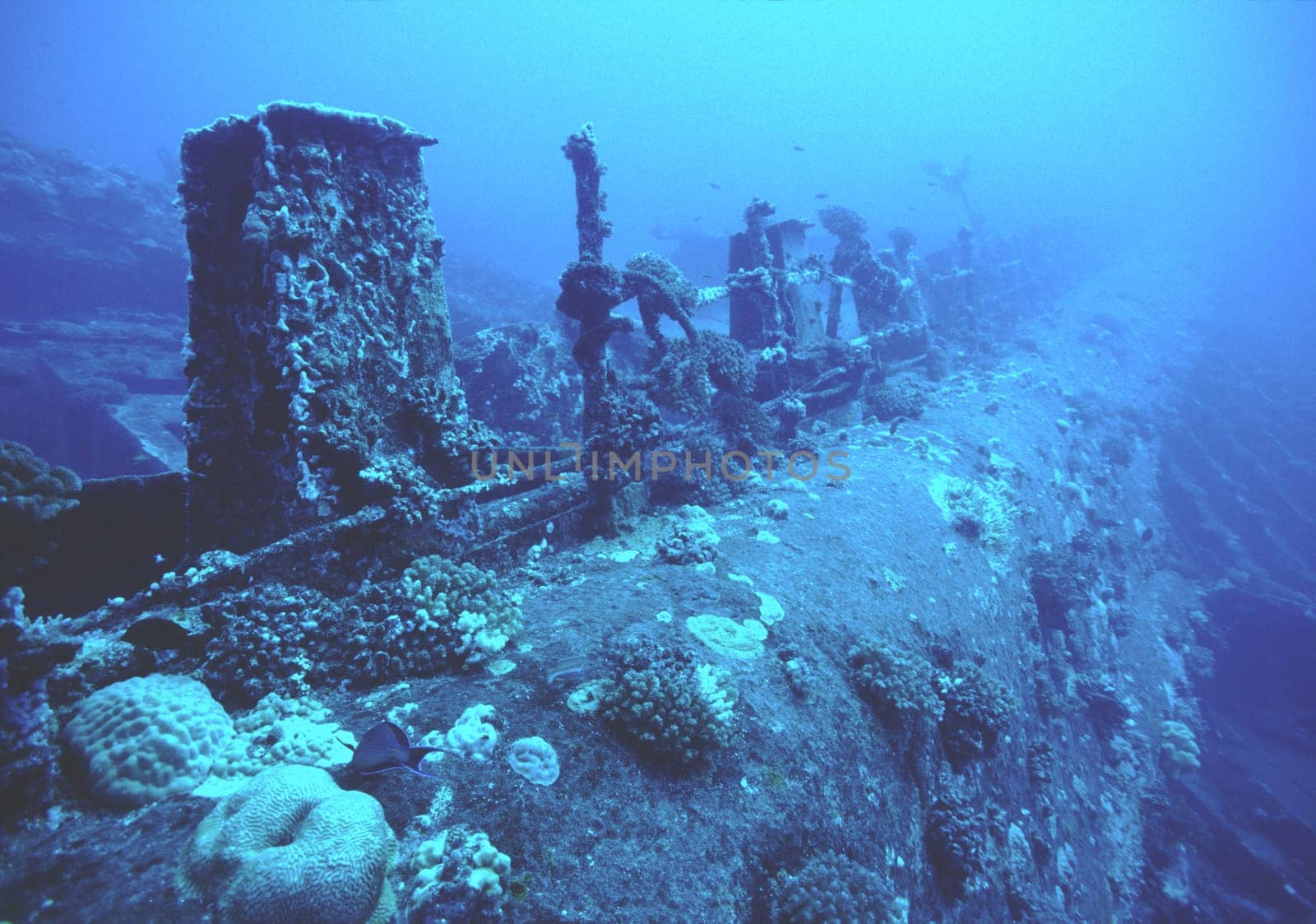 Wreck of the Ann Ann