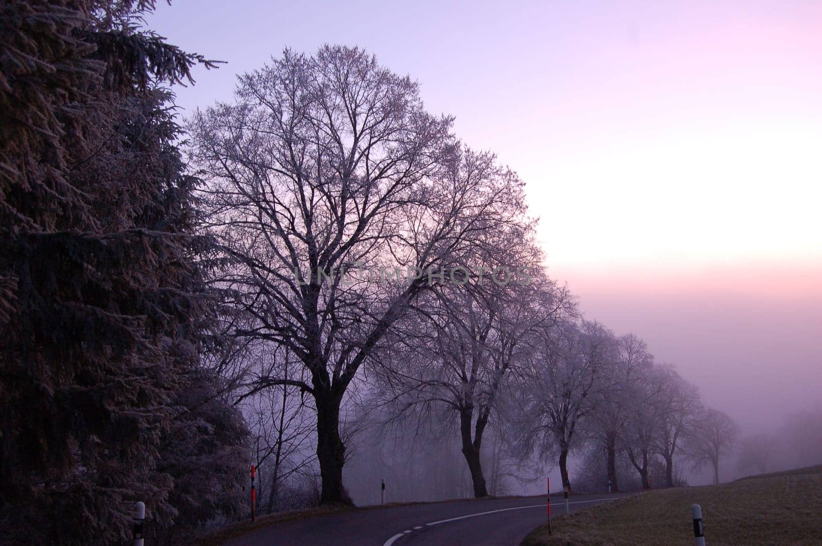 in search of the fog line