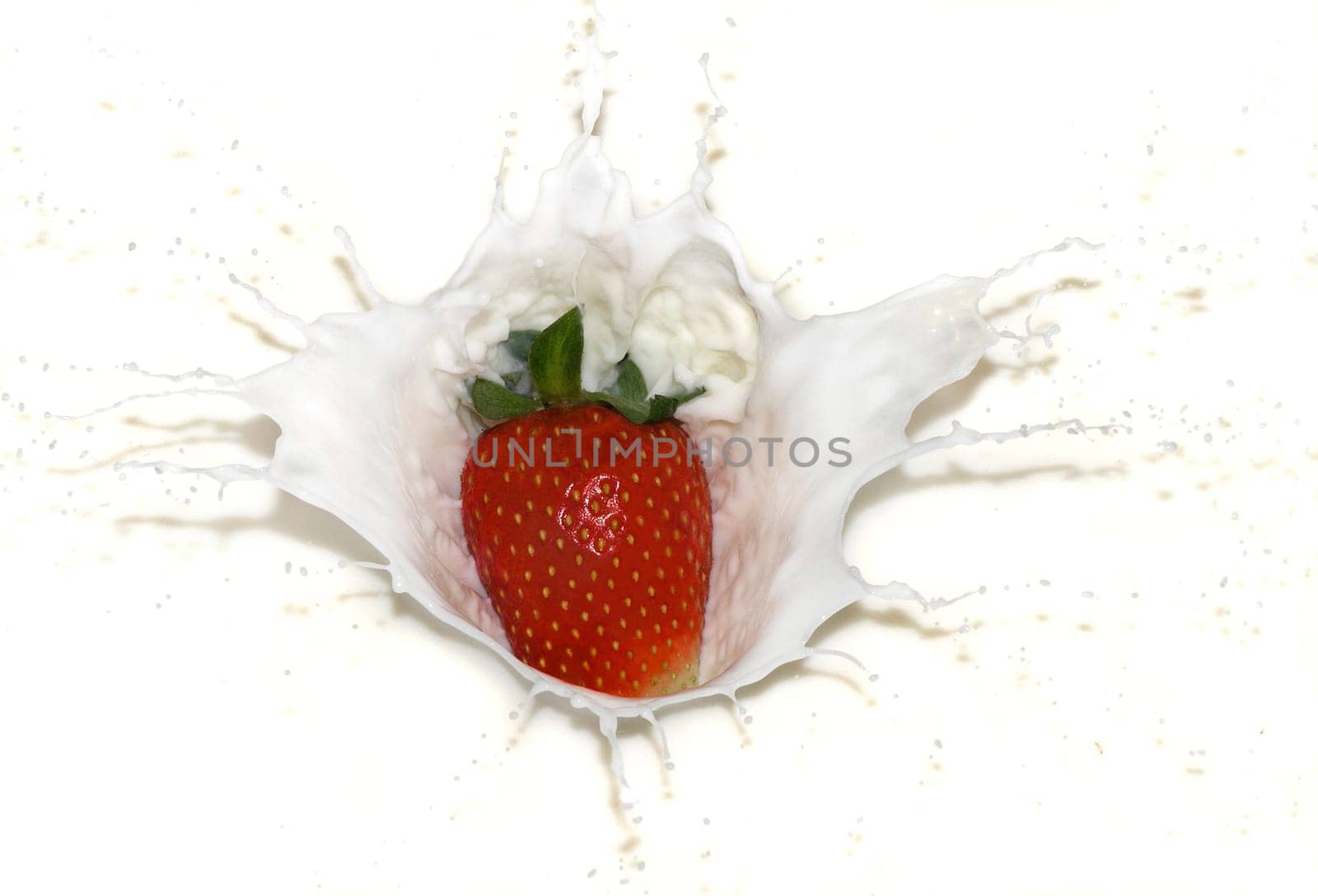 A strawberry falls into milk