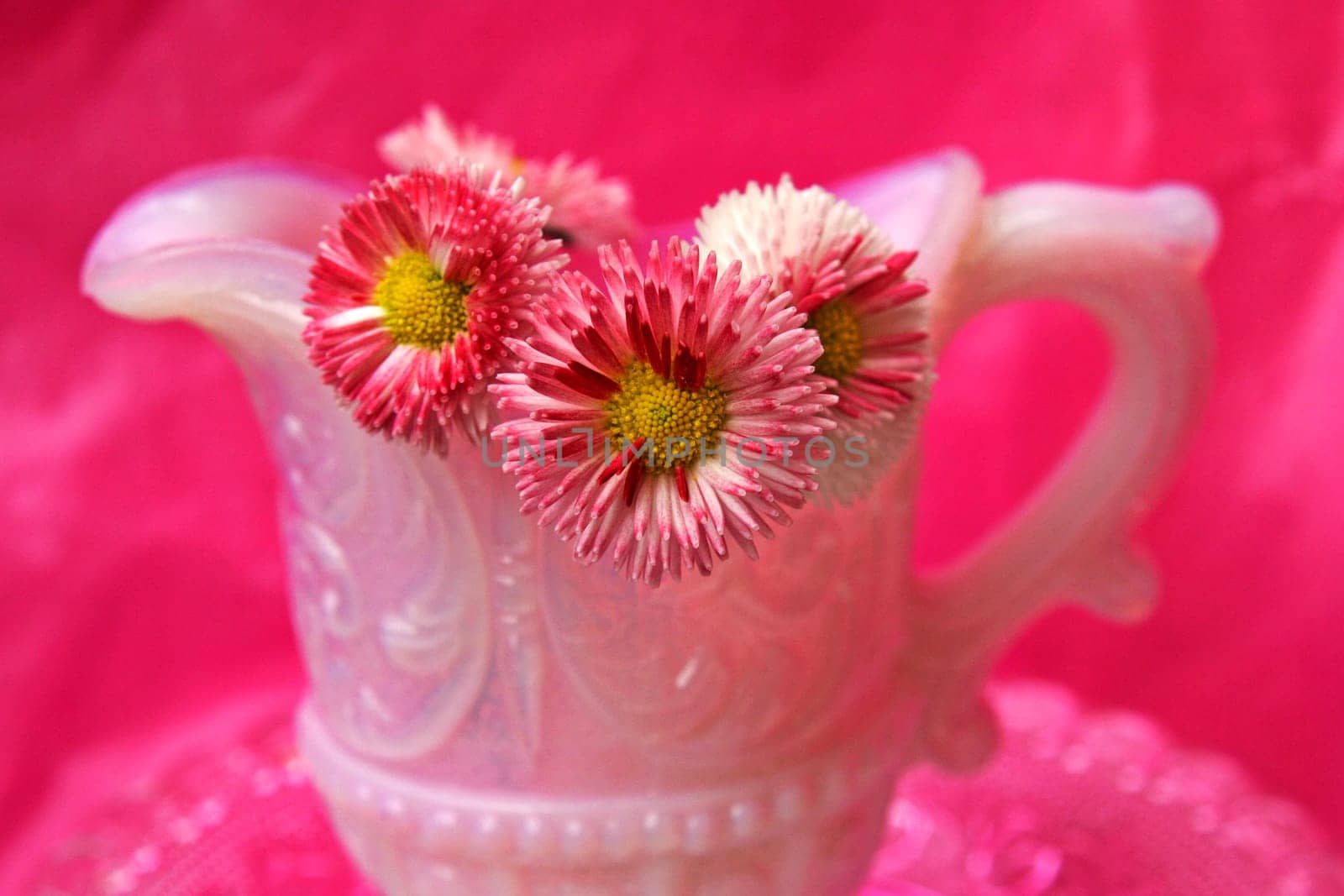Floral still life