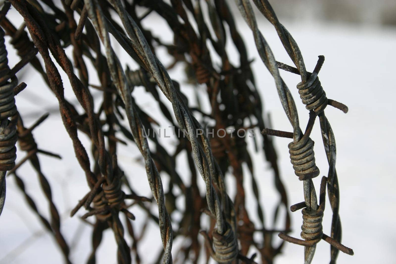 Wire reel