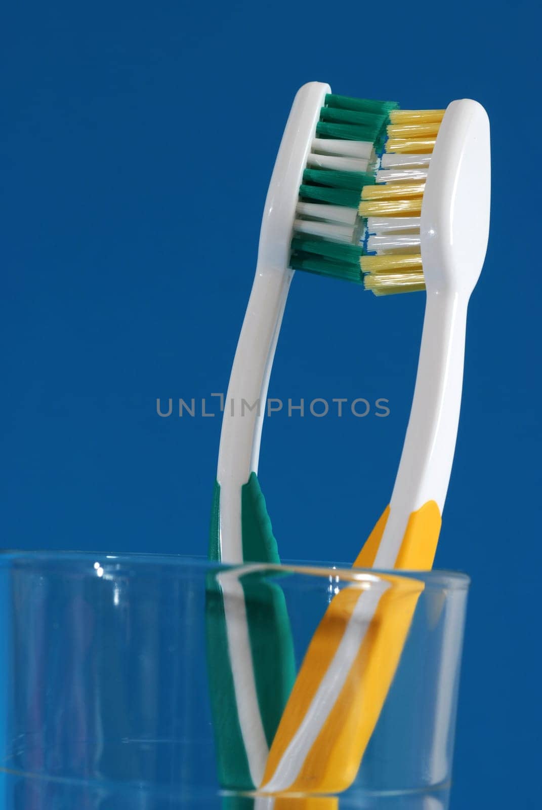 toothbrushes in love